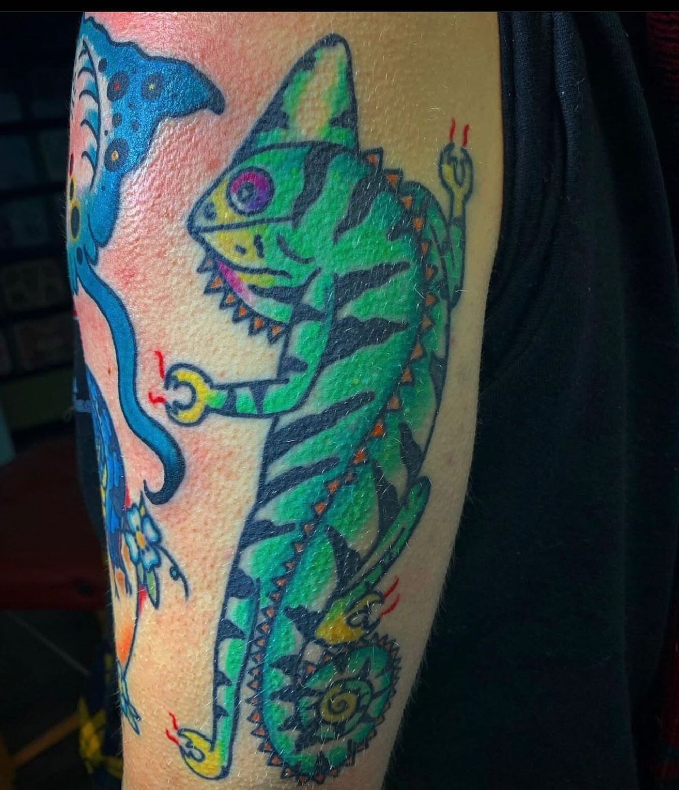 Chameleon American traditional tattoo on the forearm by Arron Albaugh
