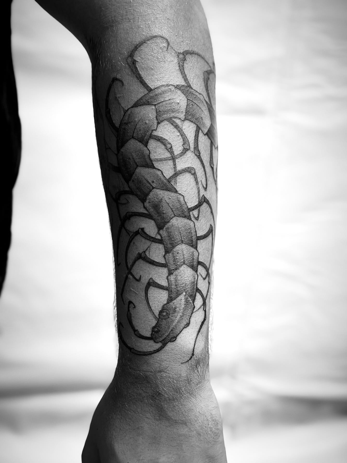 Centipede black and grey tattoo on the forearm by James Hall