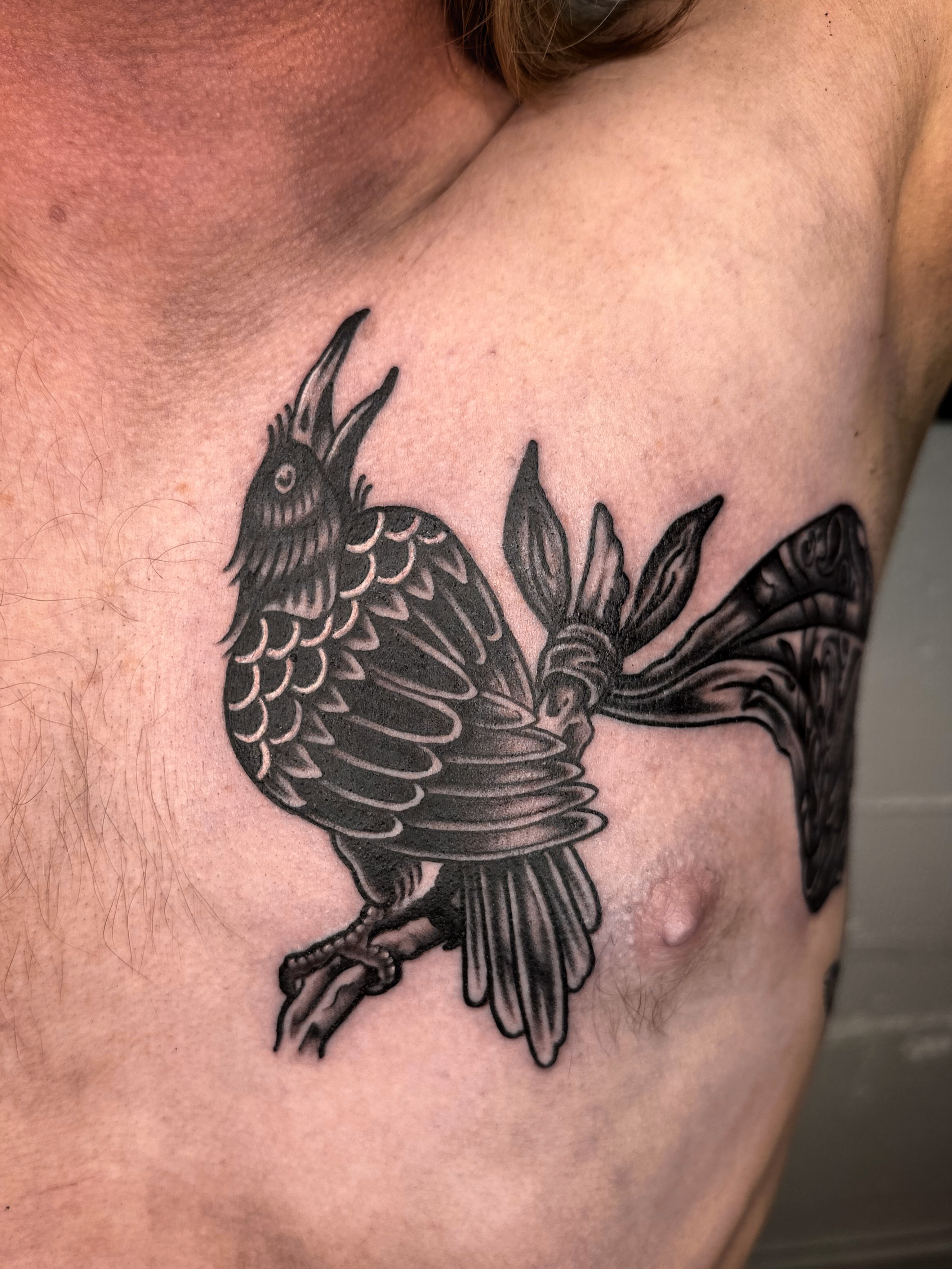 Crow black and grey tattoo on the chest by mia palau