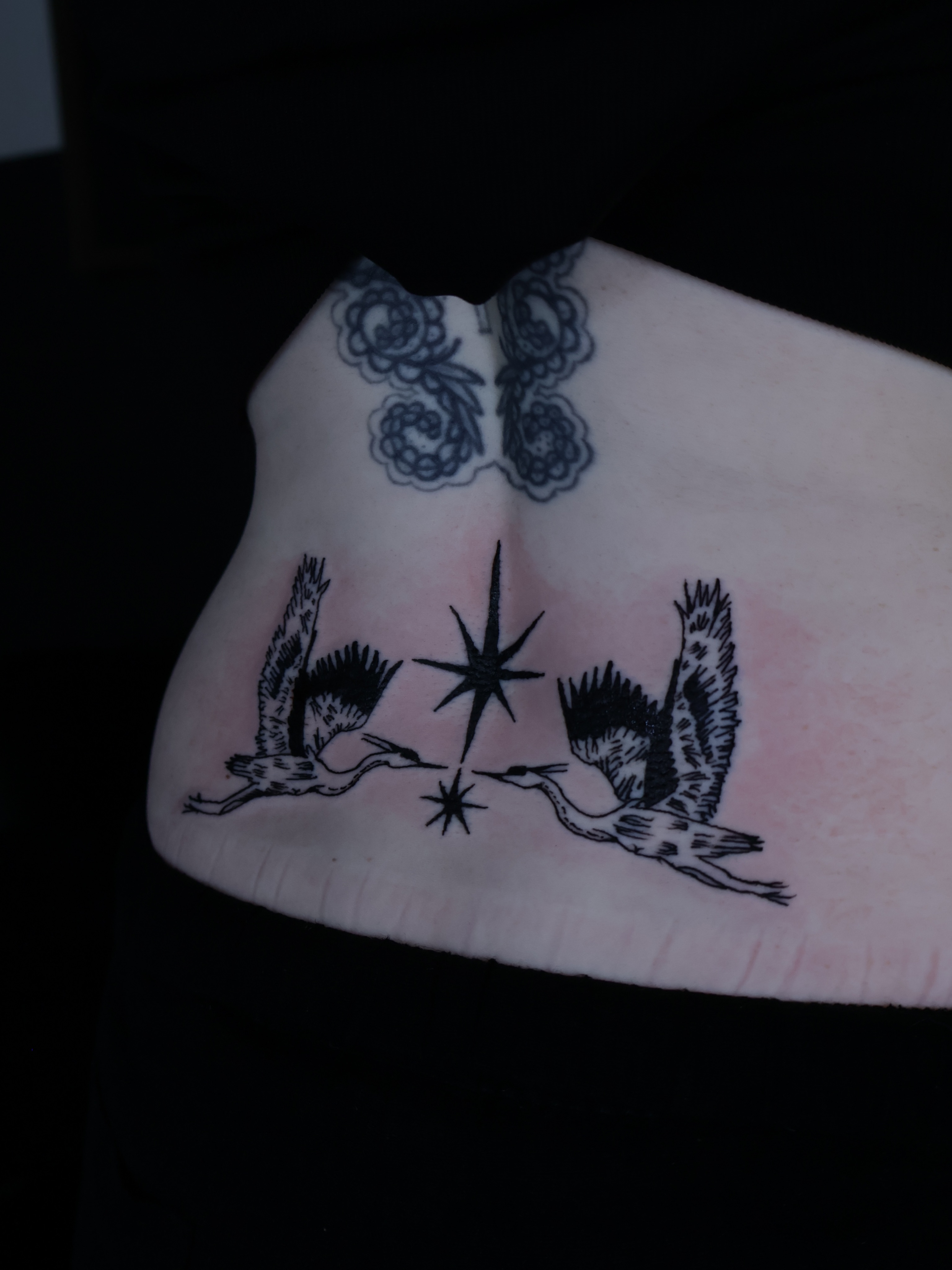 Cranes and star black and grey tattoo on the chest by Denis Du Preez, East Williamsburg, Brooklyn