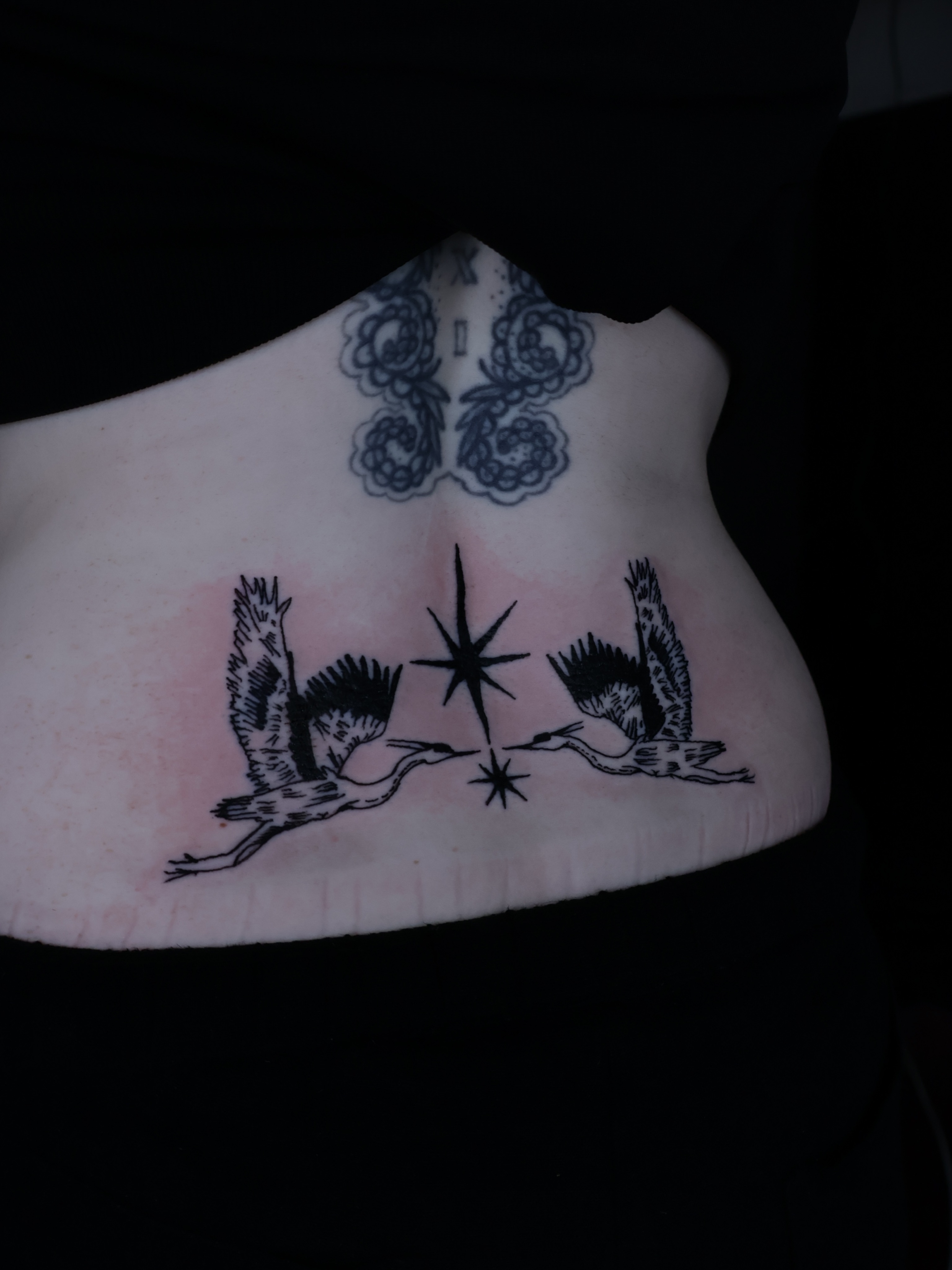 Birds flying towards star black and grey tattoo on the torso by Denis Du Preez, East Williamsburg, Brooklyn