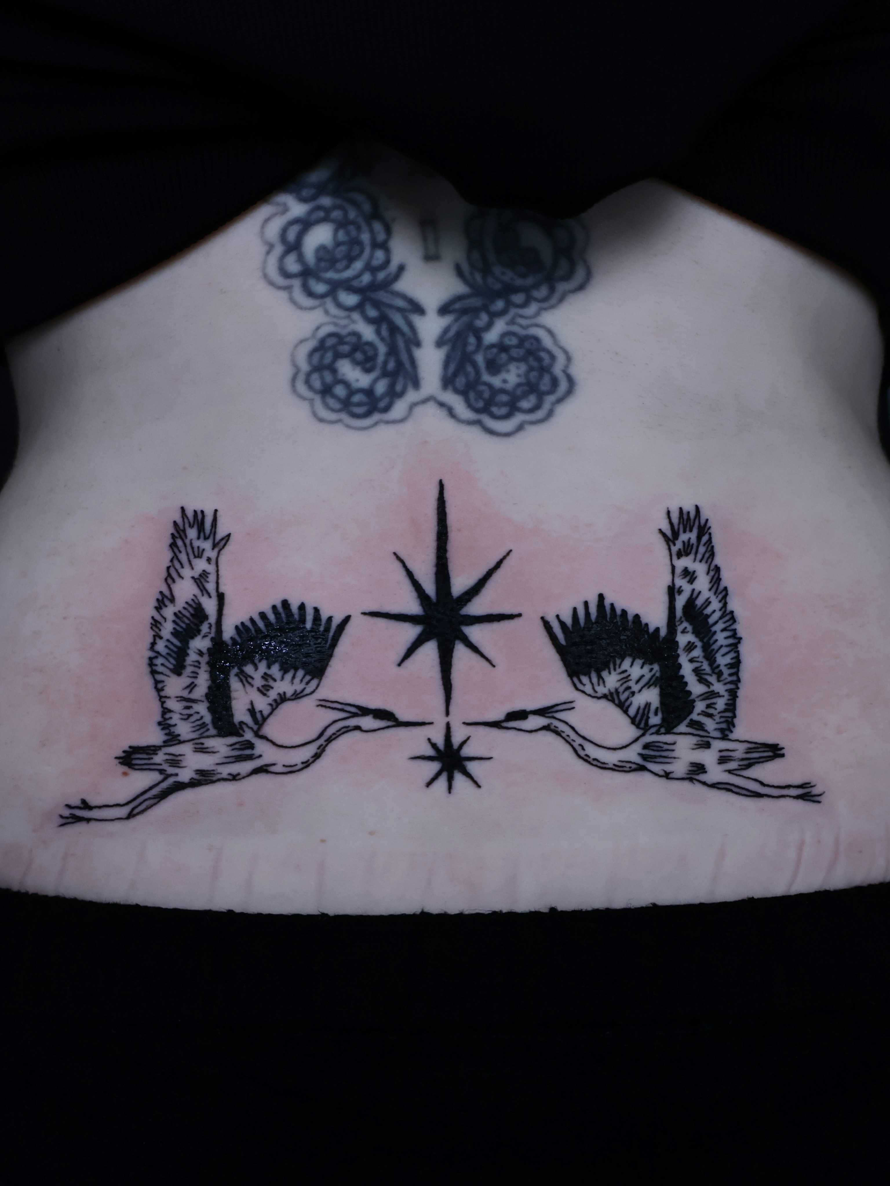 Cranes and star black and grey tattoo on the chest by Denis Du Preez, East Williamsburg, Brooklyn