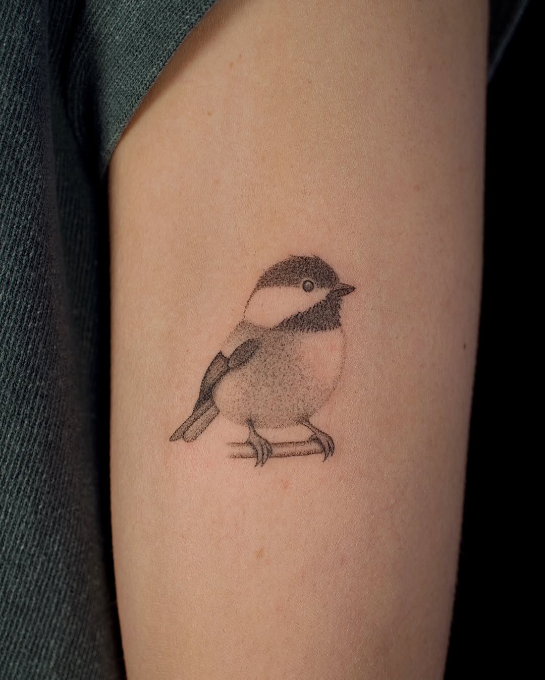 Tattoo by @elsietattoo — dotwork, black_and_grey