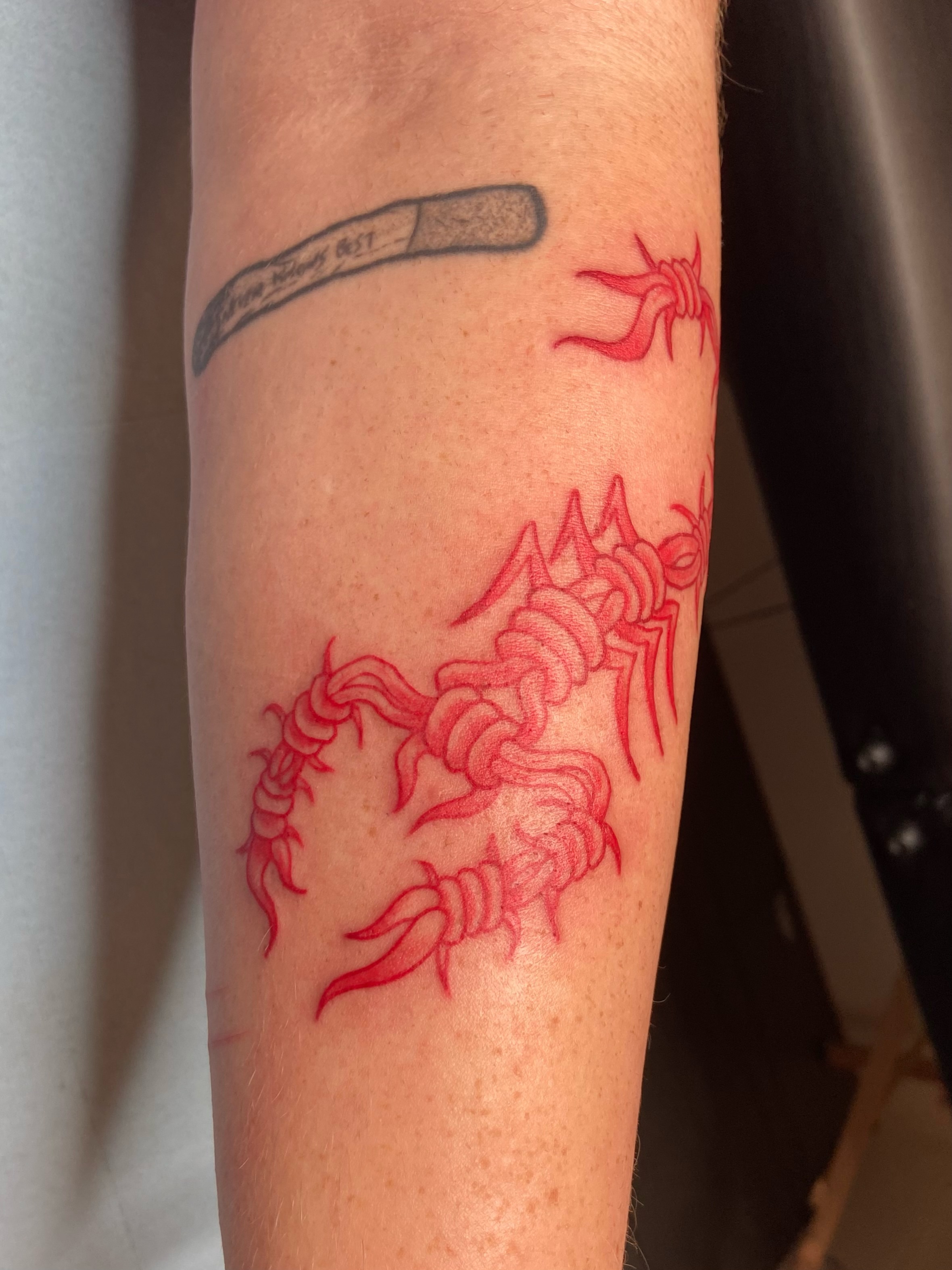 Tattoo by @kruegergrams — neo_traditional