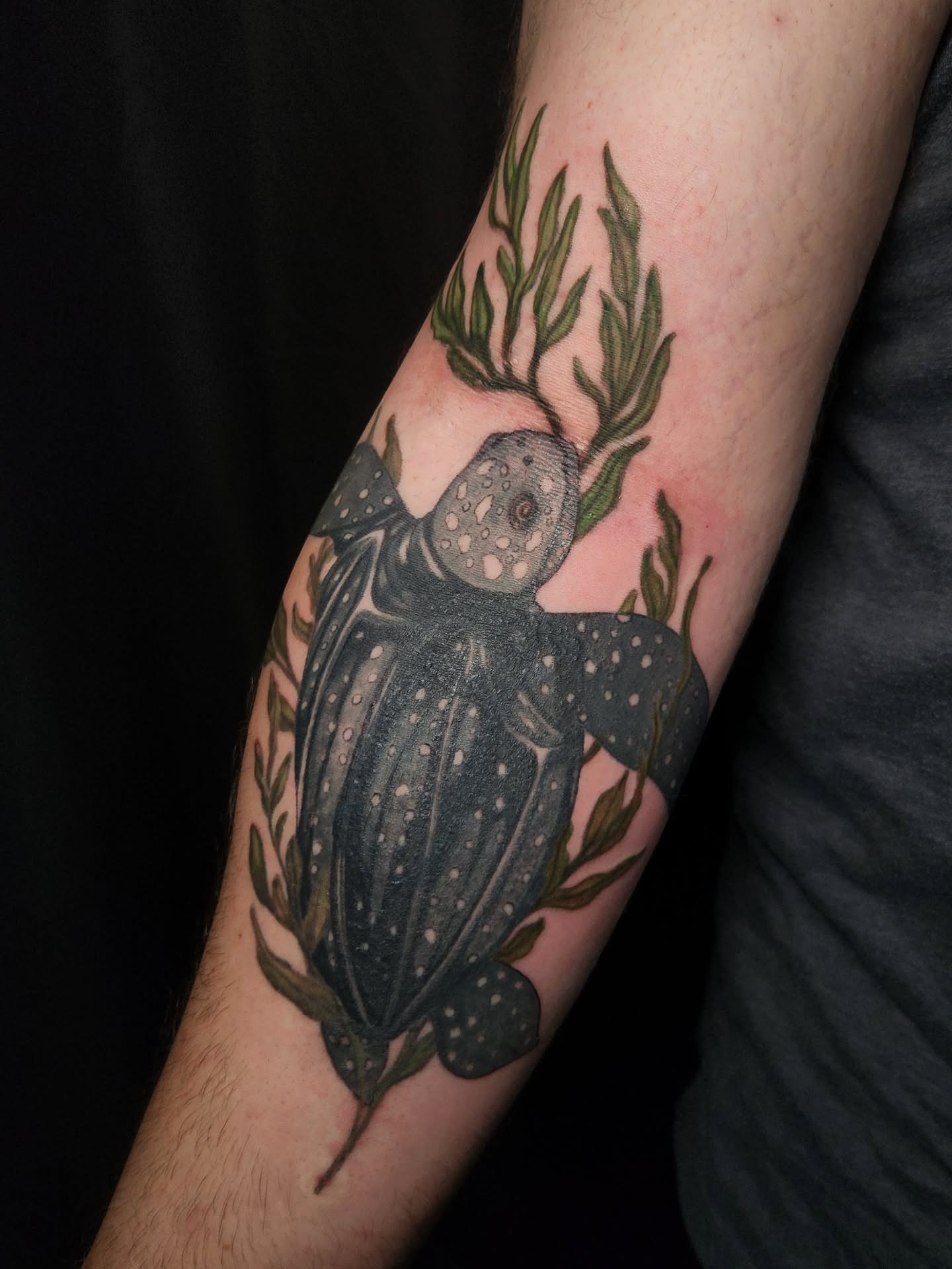 Sea turtle dotwork tattoo on the forearm by Ashly Renee