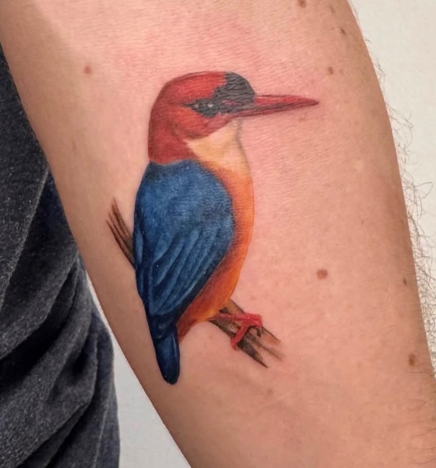 Kingfisher realism tattoo on the forearm by Enda 🧚🏻‍♀️