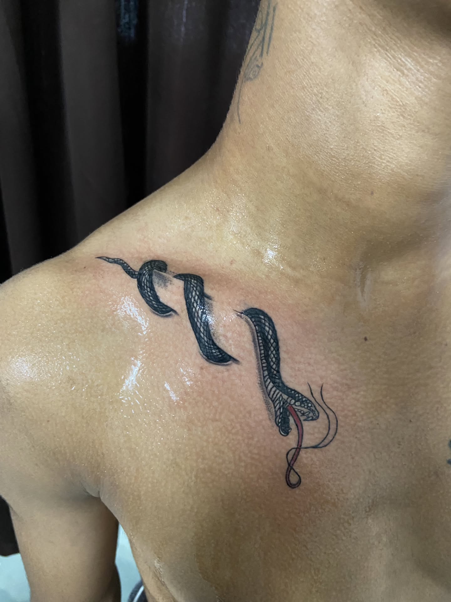 Snake black and grey tattoo on the chest by VR tattoo Studio