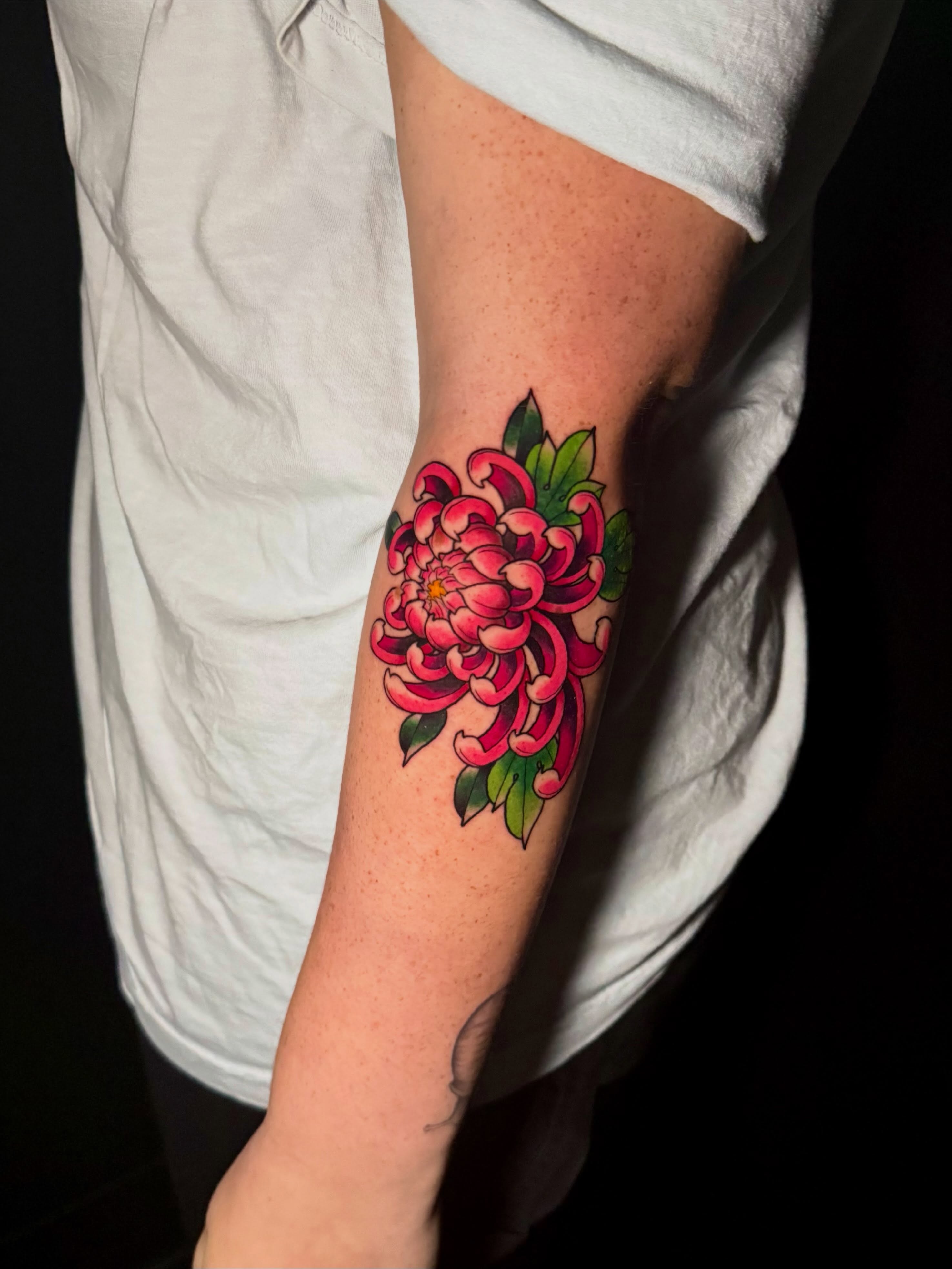 Chrysanthemum American traditional tattoo on the forearm by Taylor Kay 🌿