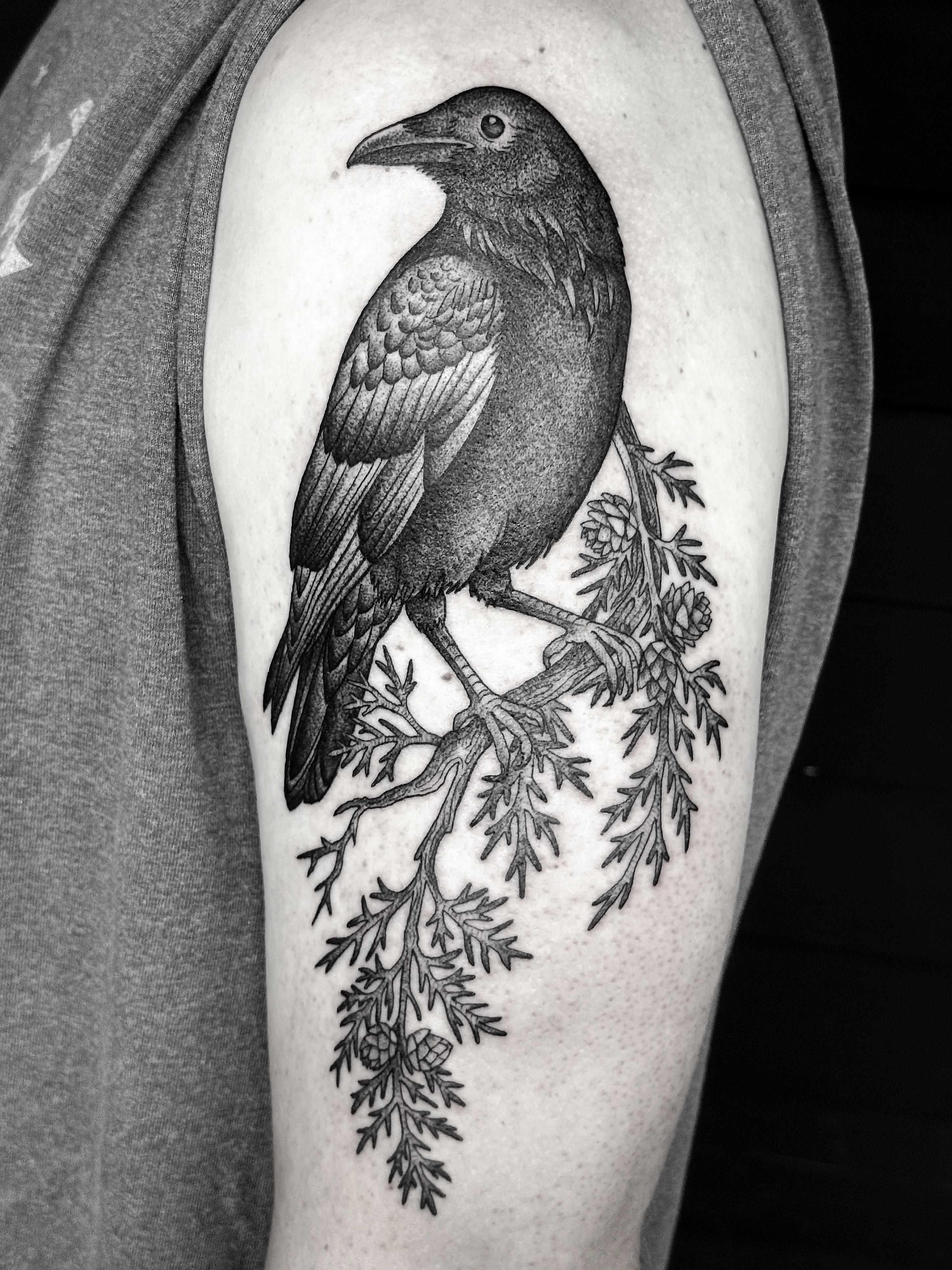 Crow realism tattoo on the upper arm by Breezy Tucker