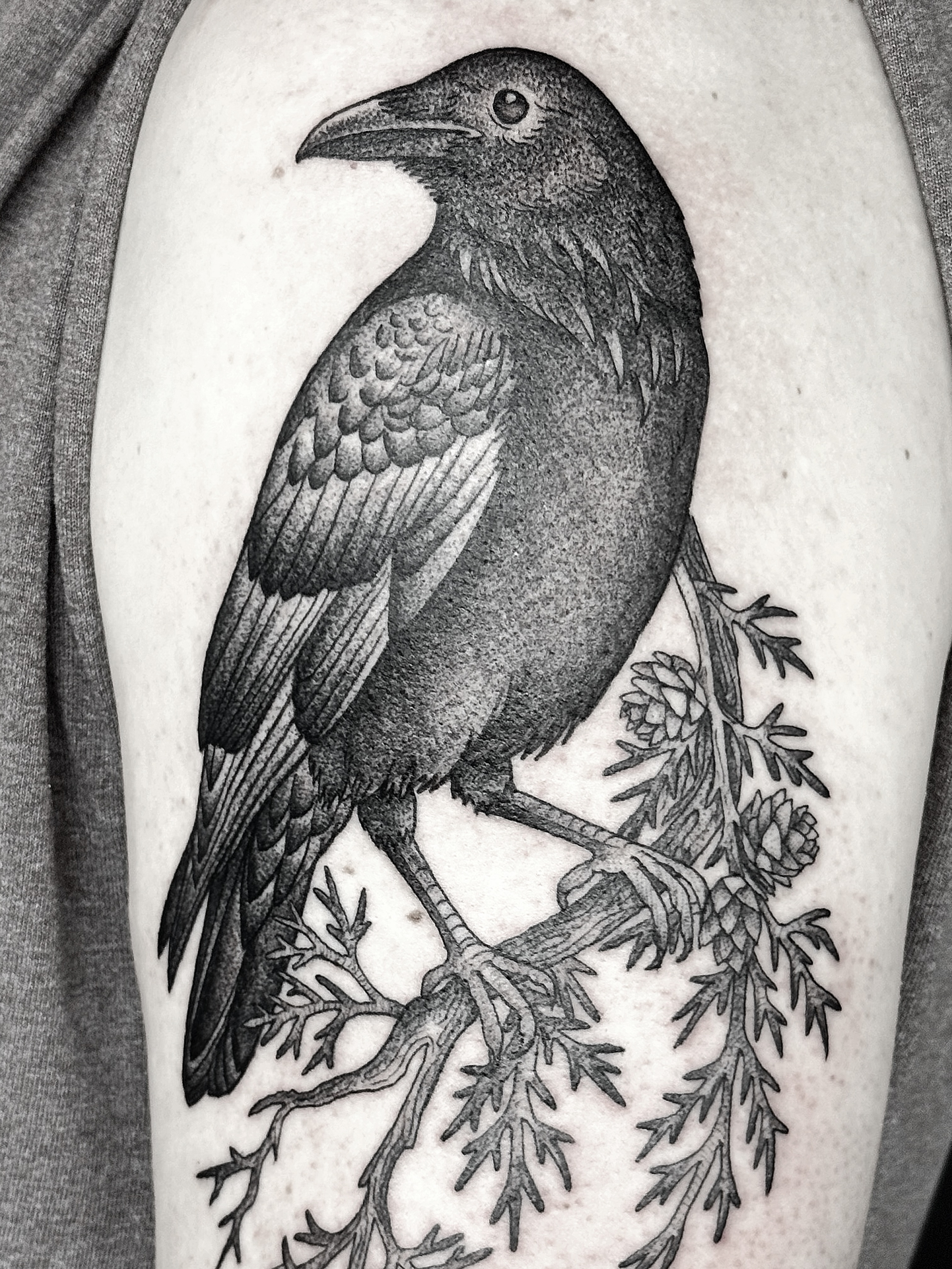 Crow realism tattoo on the upper arm by Breezy Tucker