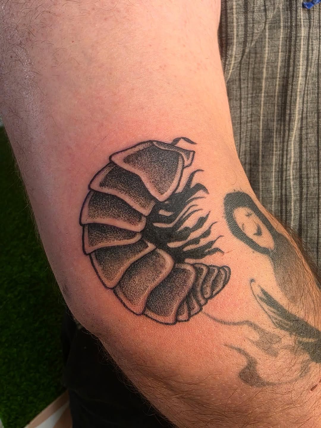 Tattoo by @lulus_tattoos_ — dotwork, black_and_grey
