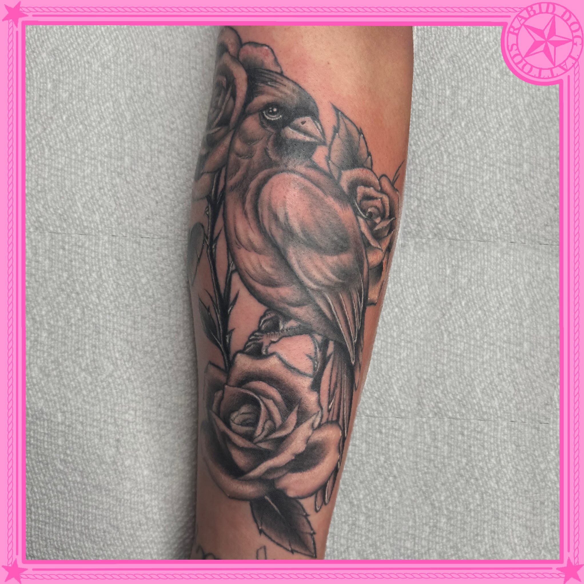 Bird and roses realism tattoo on the forearm by 𝕷𝖊𝖝𝖎 𝕽𝖚𝖓𝖞𝖔𝖓