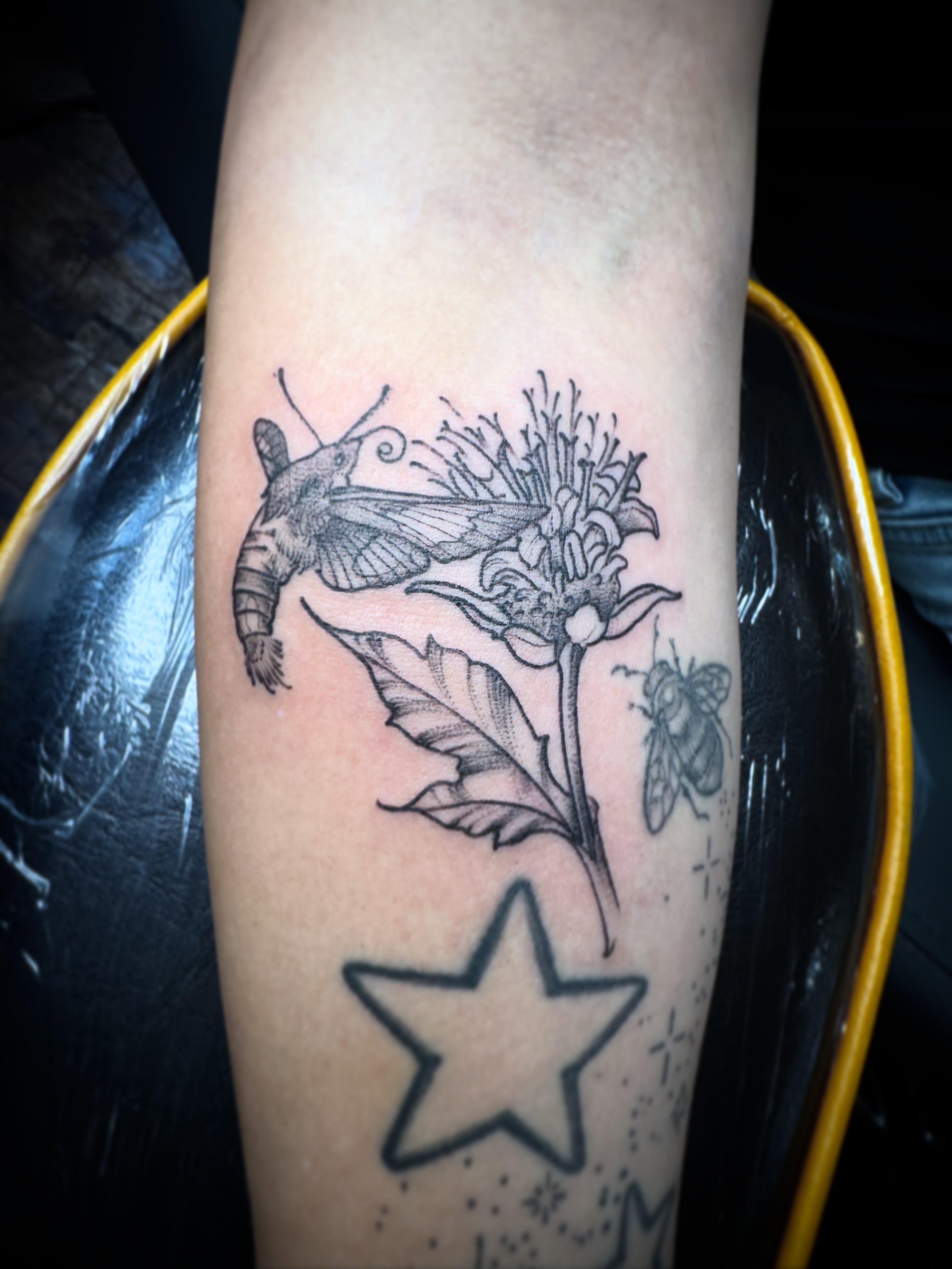 Flower and moth realism tattoo on the forearm by 🏵
