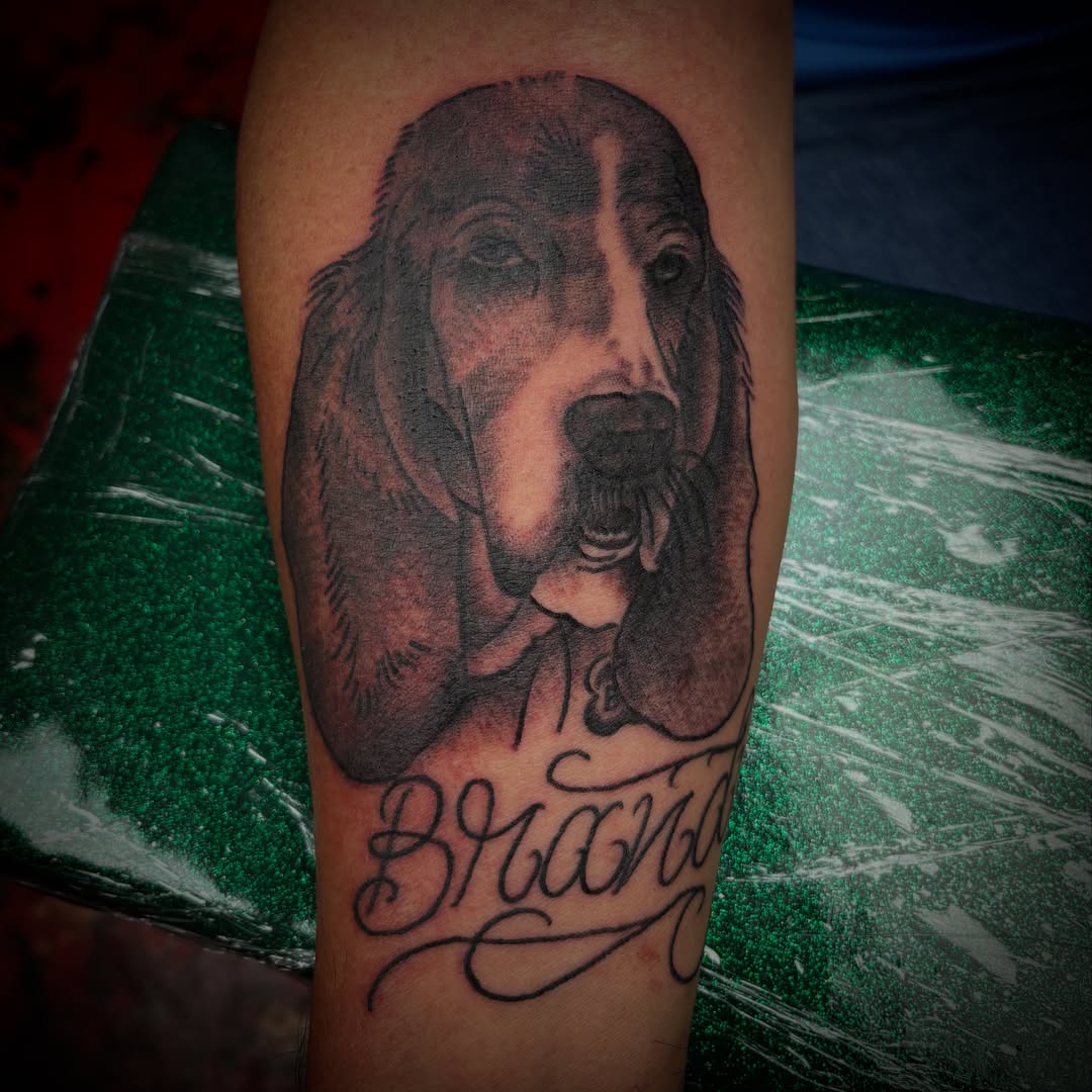 Bloodhound realism tattoo on the forearm by Tattoos Las Vegas,NV