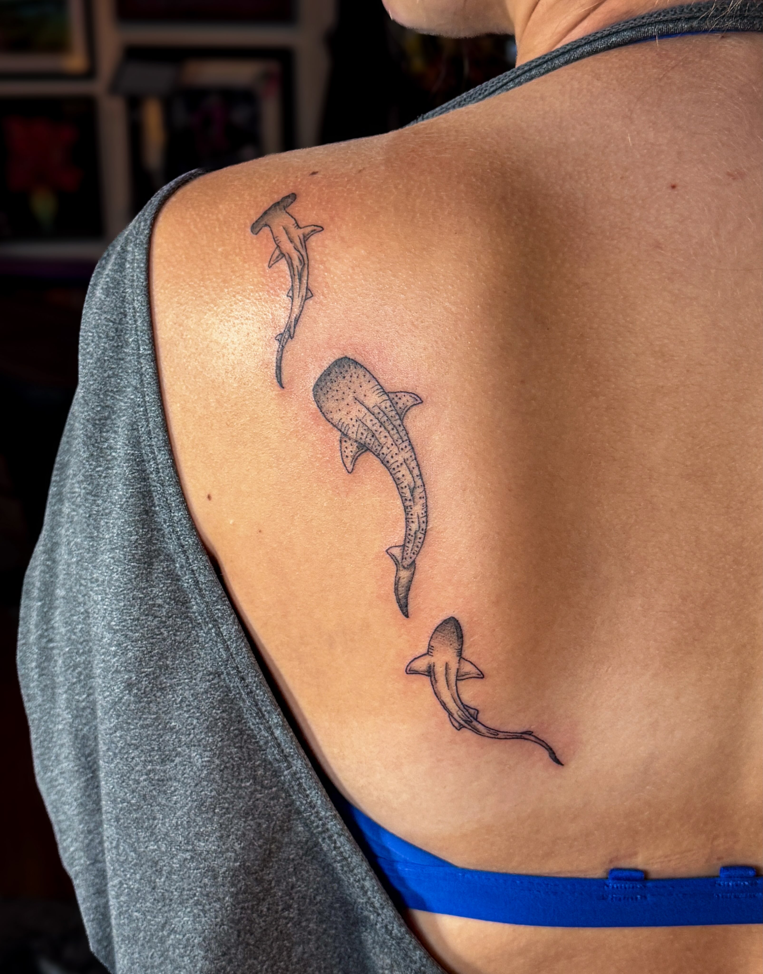 Shark family black and grey tattoo on the back by Ash✨