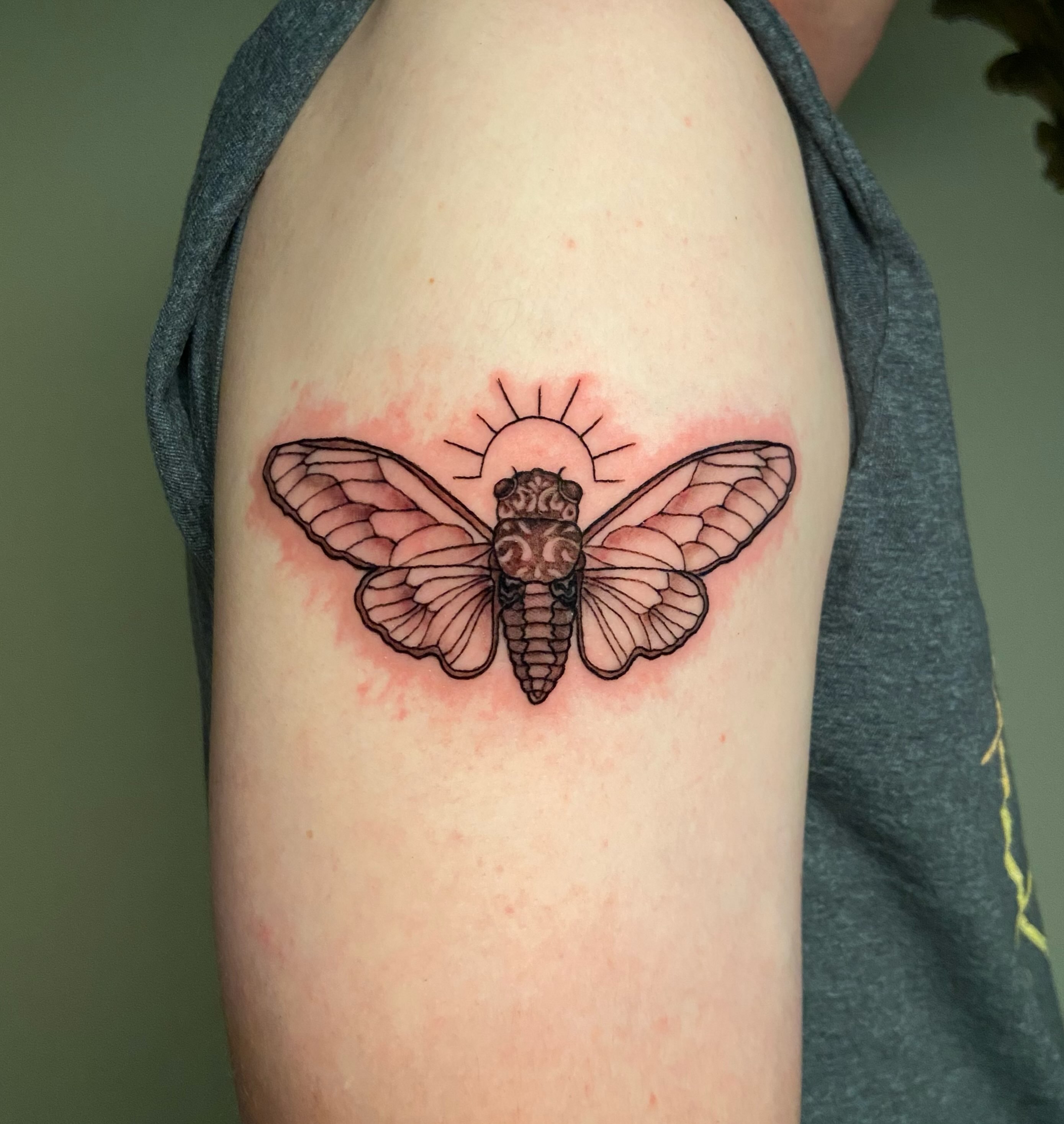 Cicada realism tattoo on the shoulder by Ezra Gonda