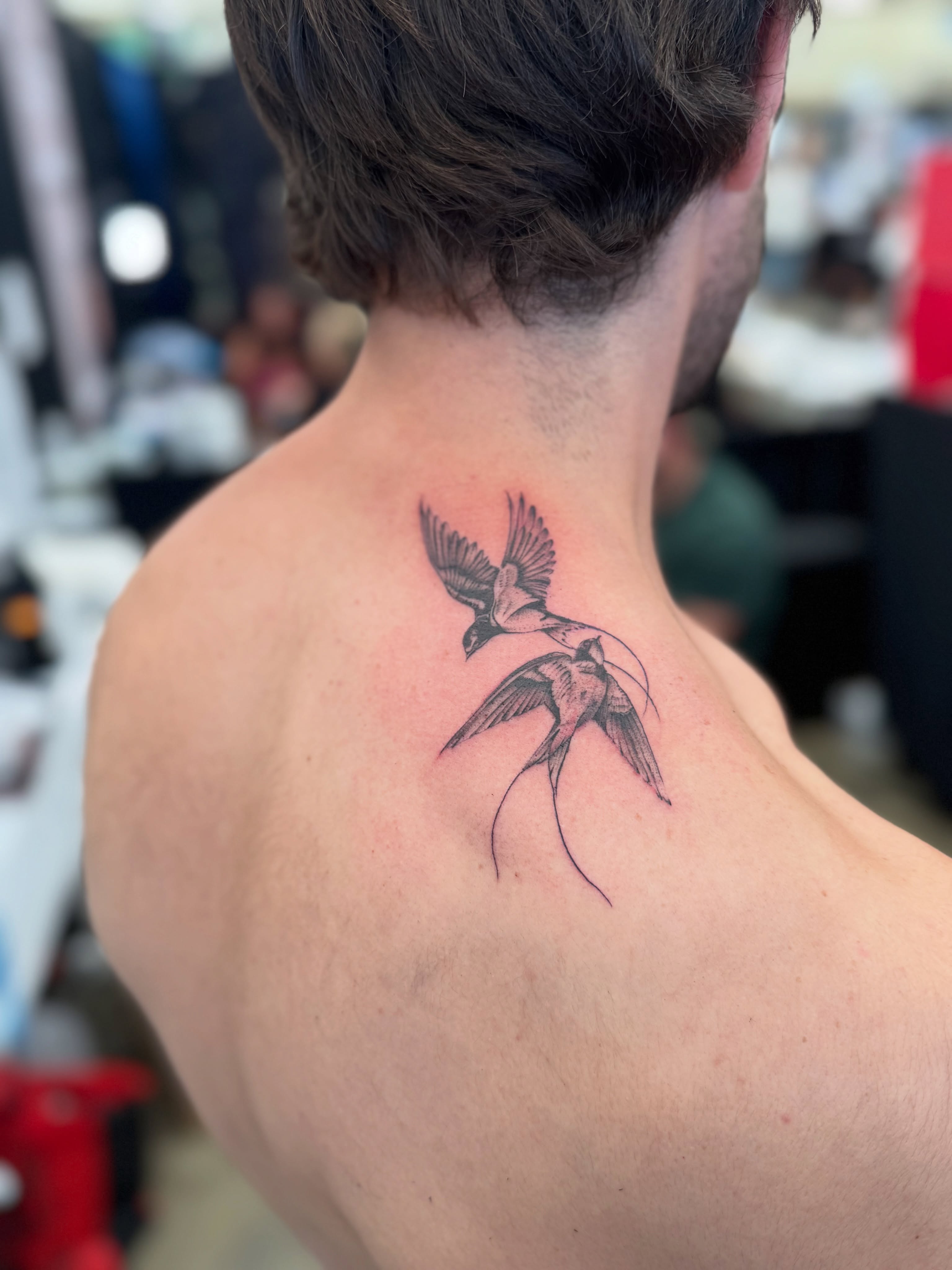Swallows black and grey tattoo on the back by North County Sd