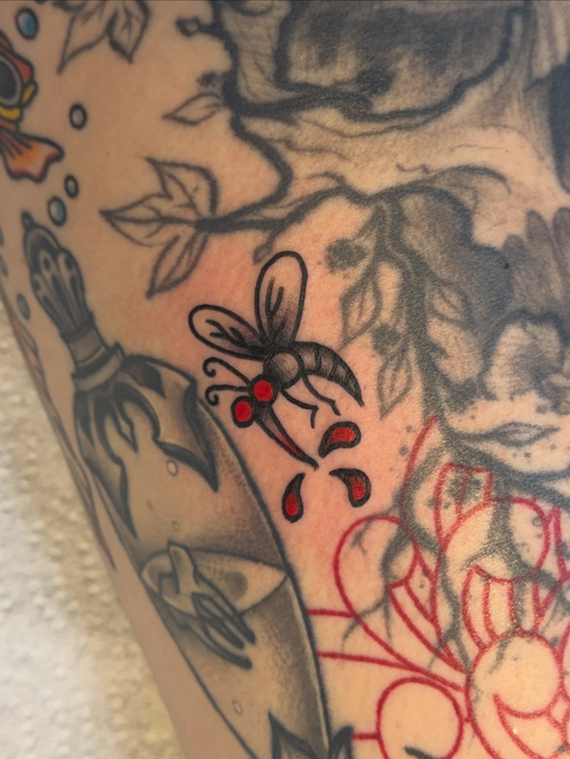 Tattoo by @allisoninkstattoo — american_traditional