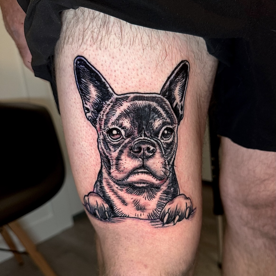 French bulldog realism tattoo on the thigh by James ⚡️ Tattoo Artist