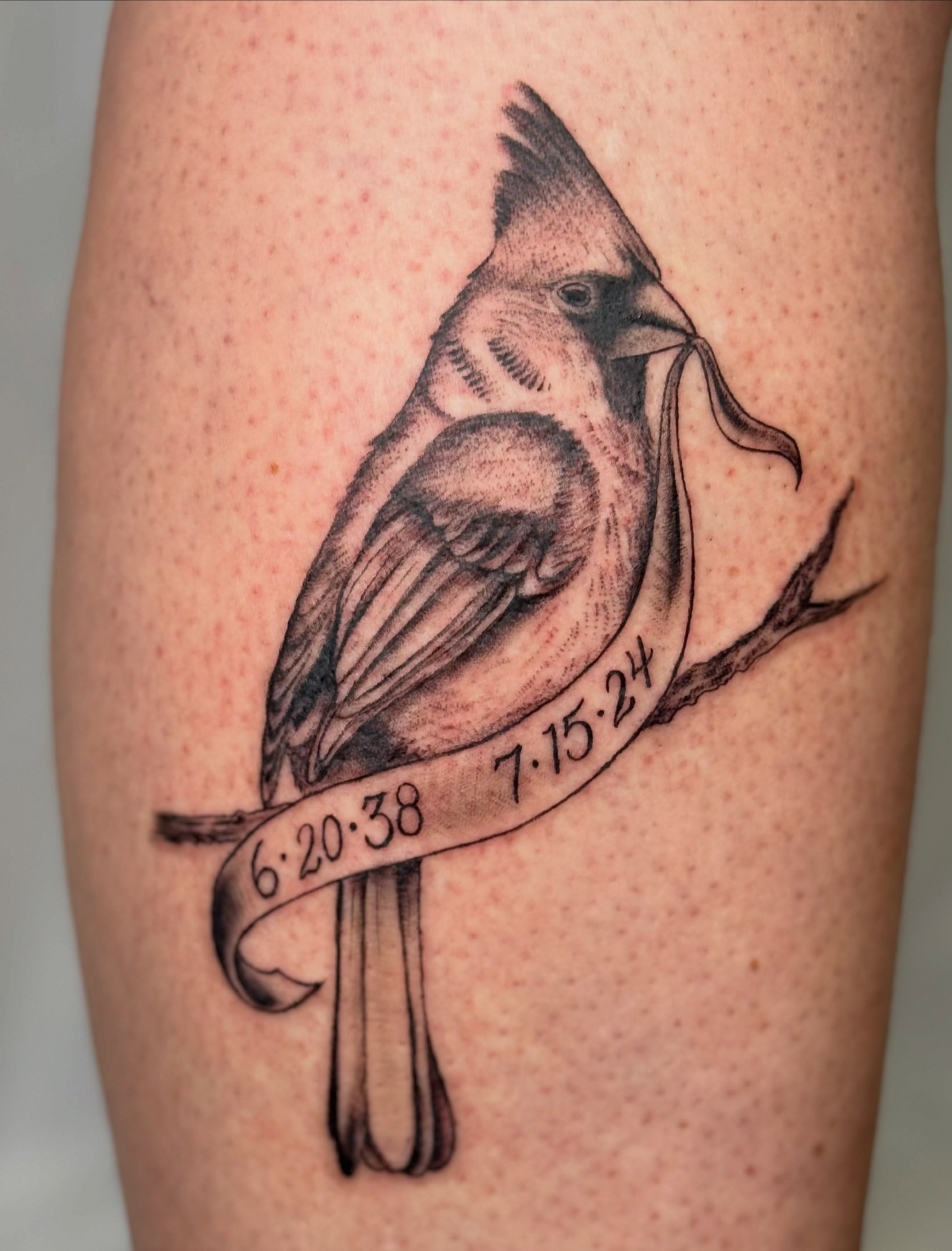 Cardinal bird realism tattoo on the thigh by Elmer Lethco