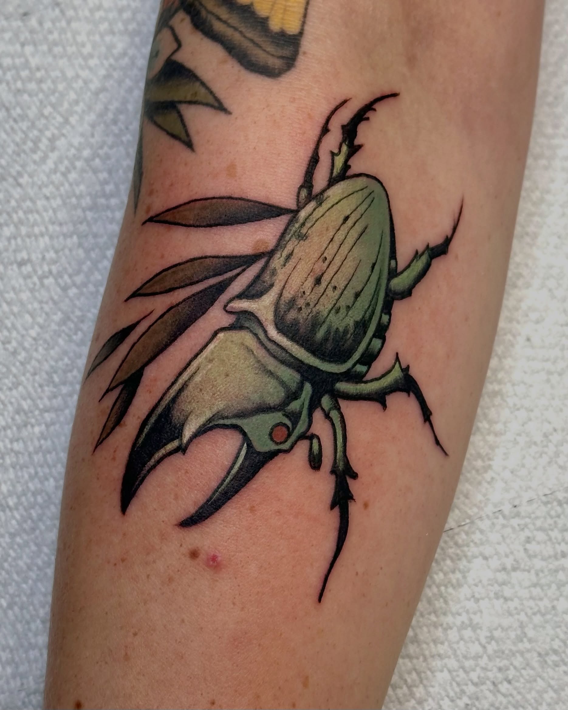 Beetle realism tattoo on the forearm by Craig Ryans