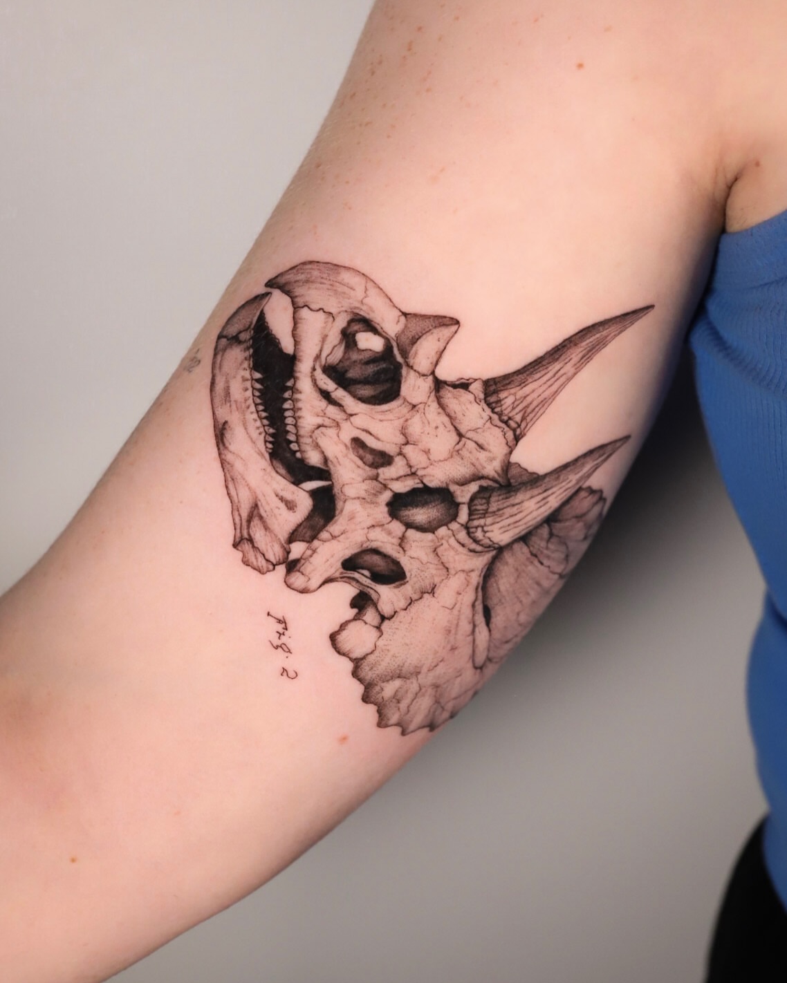 Dinosaur skull realism tattoo on the forearm by Caroline + Utah Tattoo Artist