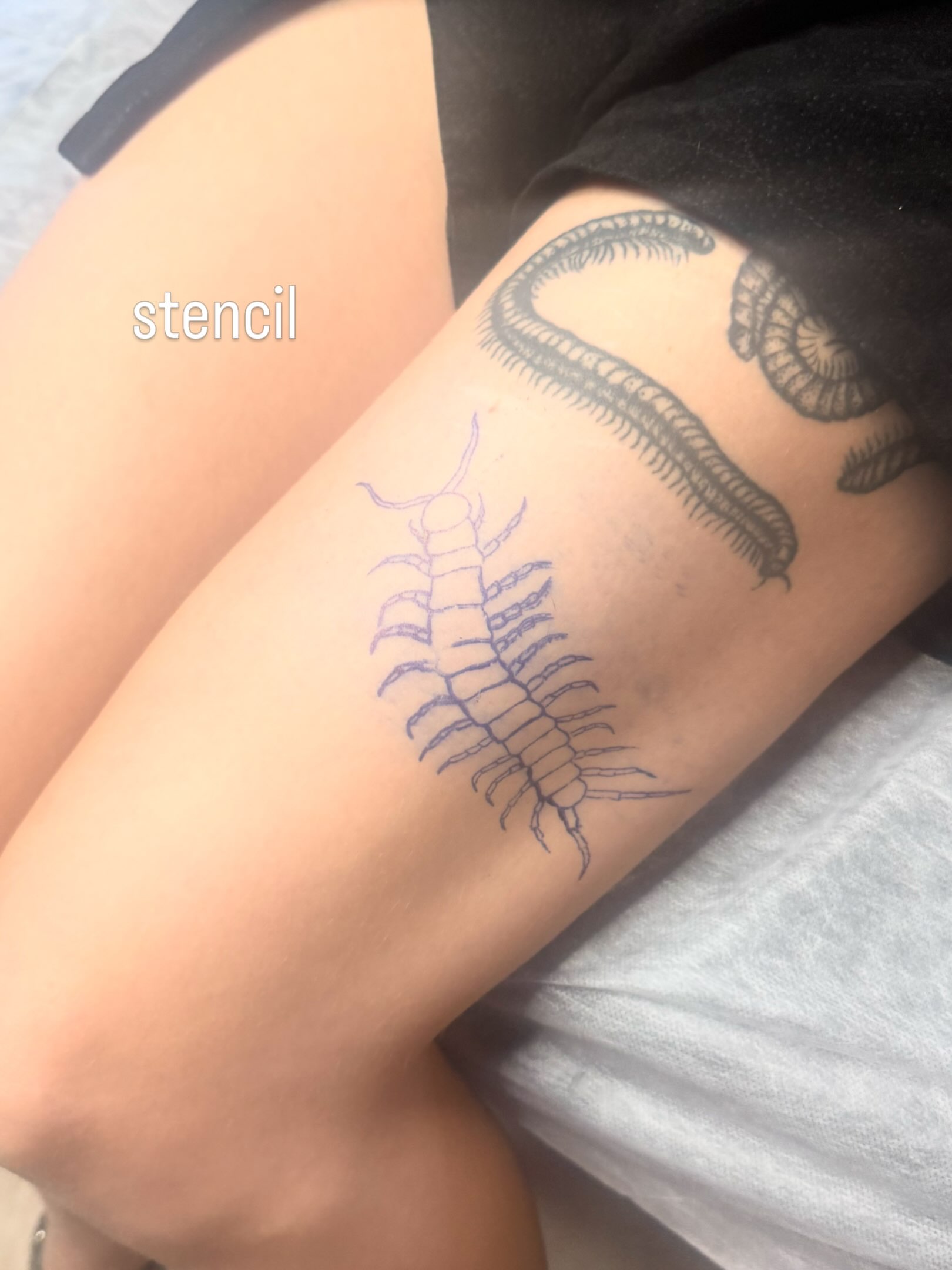 Centipede black and grey tattoo on the leg by πΏππΌππ πππππππ