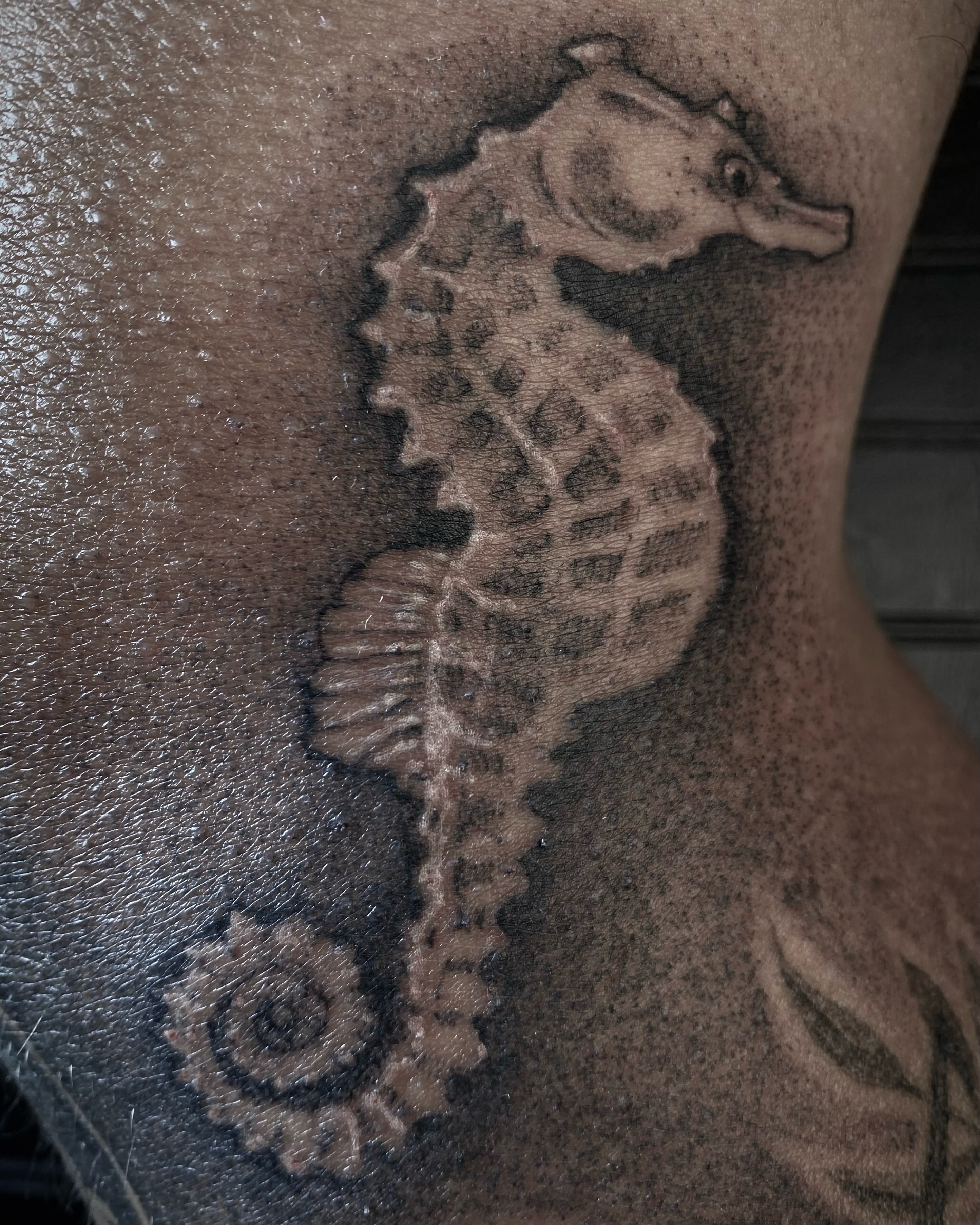 Seahorse black and grey tattoo on the thigh by ✨️❤️‍🔥𝖆𝖒𝖇𝖗𝖔𝖘𝖎𝖆.𝖙𝖆𝖙𝖙𝖔𝖔𝖘❤️‍🔥✨️