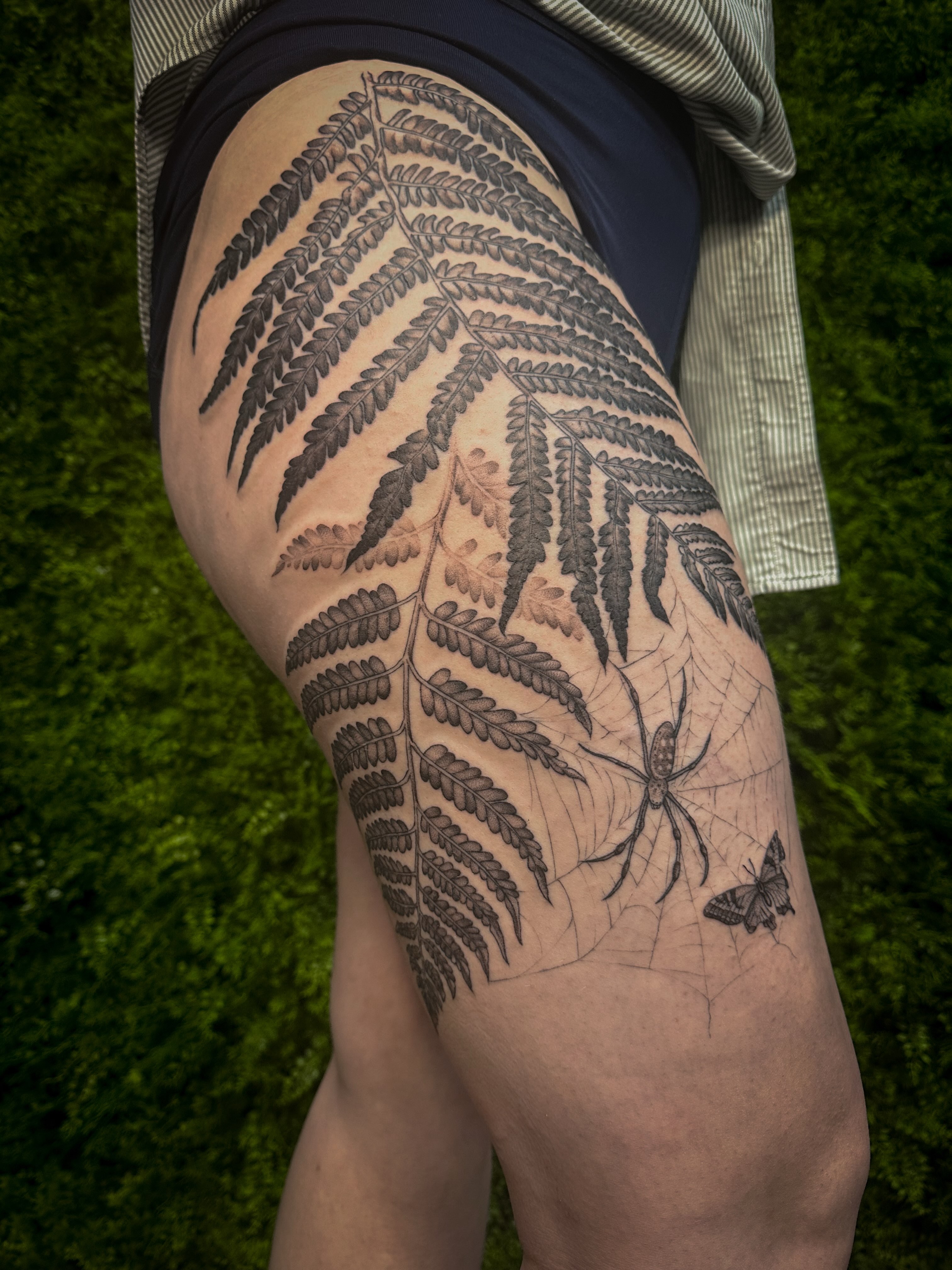 Fern and spider realism tattoo on the thigh by 𝑰𝒍𝒍𝒖𝒔𝒕𝒓𝒂𝒕𝒊𝒗𝒆 𝑵𝒂𝒕𝒖𝒓𝒆 𝑻𝒂𝒕𝒕𝒐𝒐 𝑨𝒓𝒕𝒊𝒔𝒕