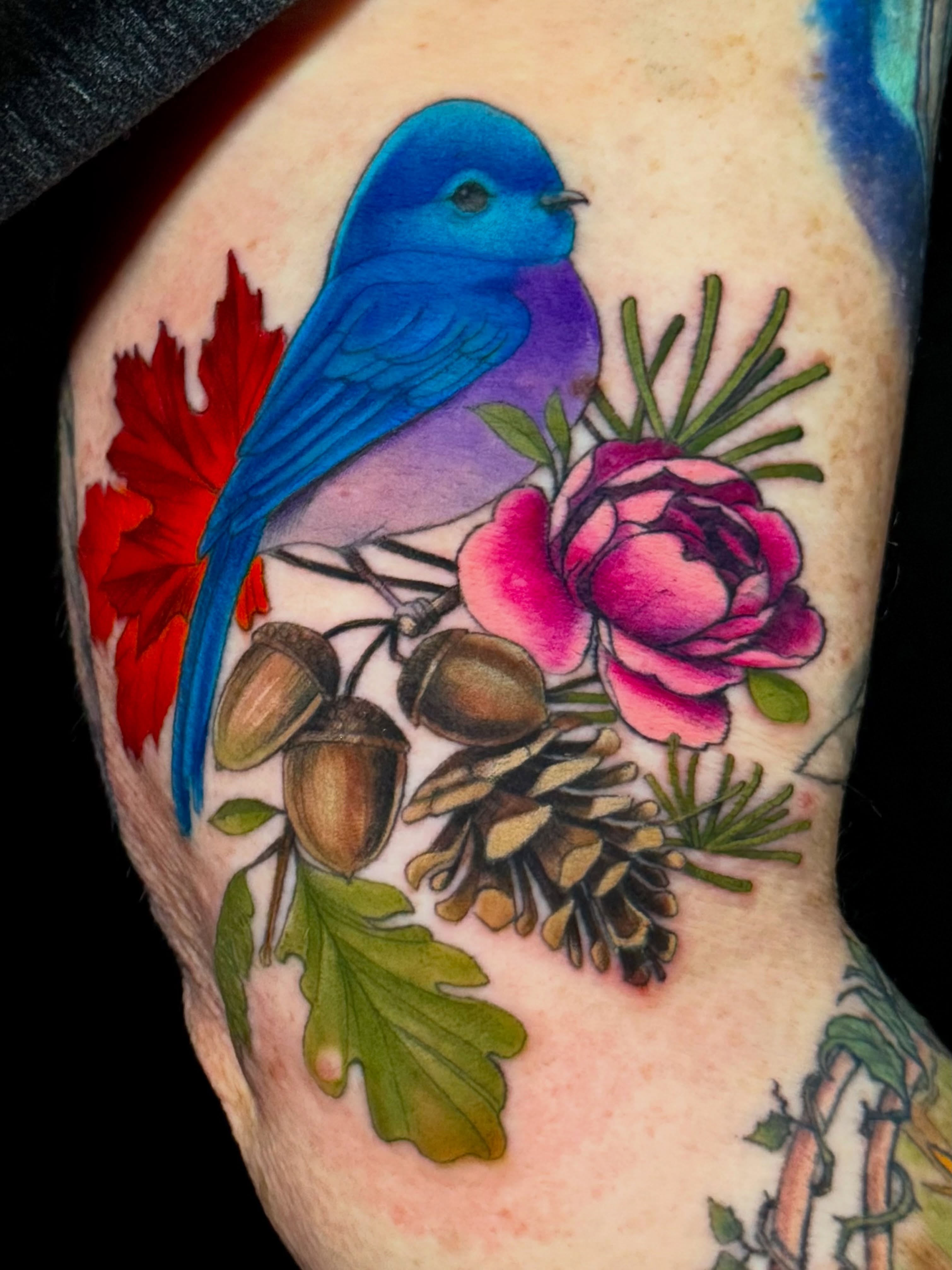 Tattoo by @bollingerart — new_school, realism