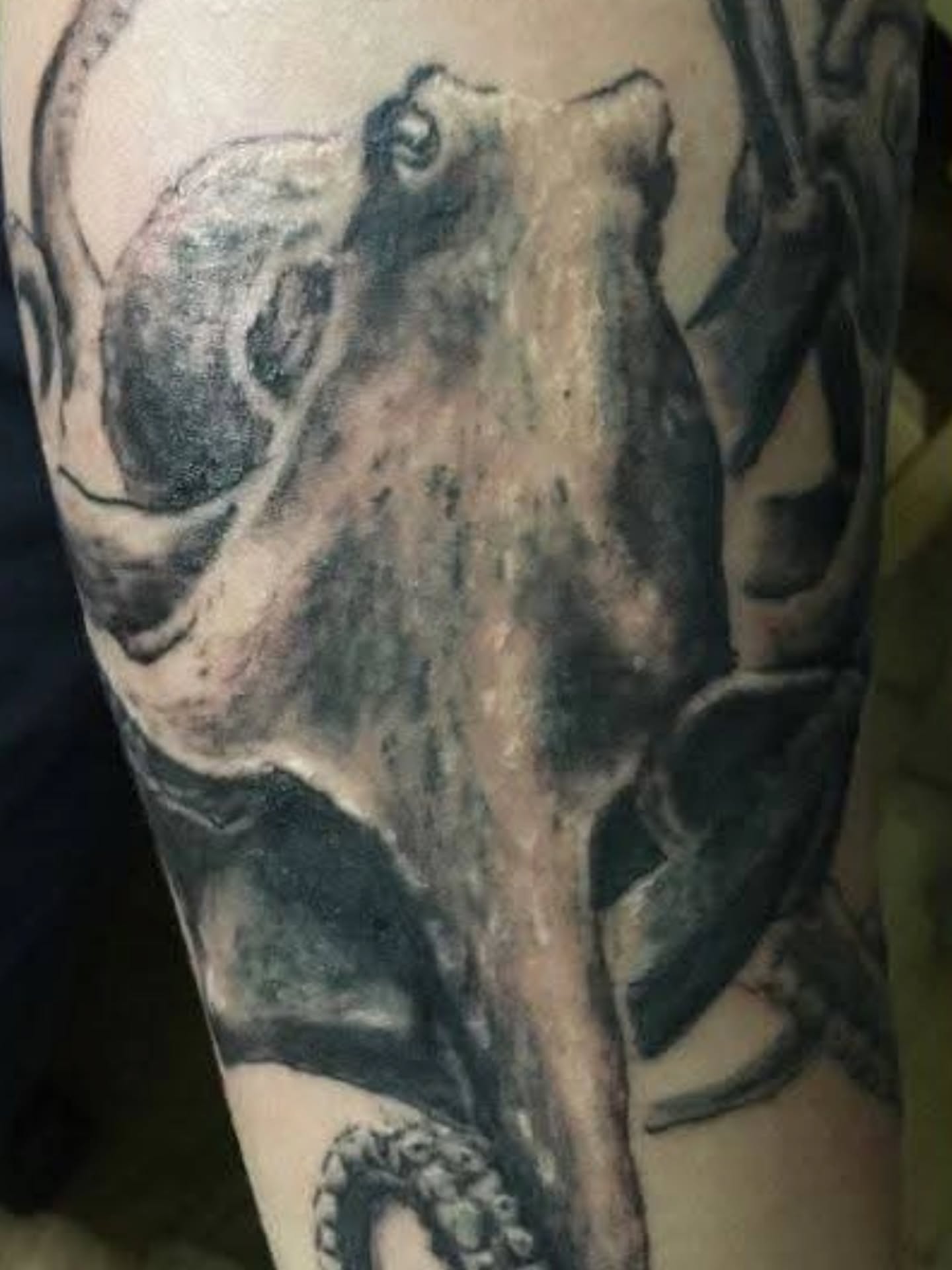 Dog skull realism tattoo on the forearm by Dr. Valerio Vegas Tattoo