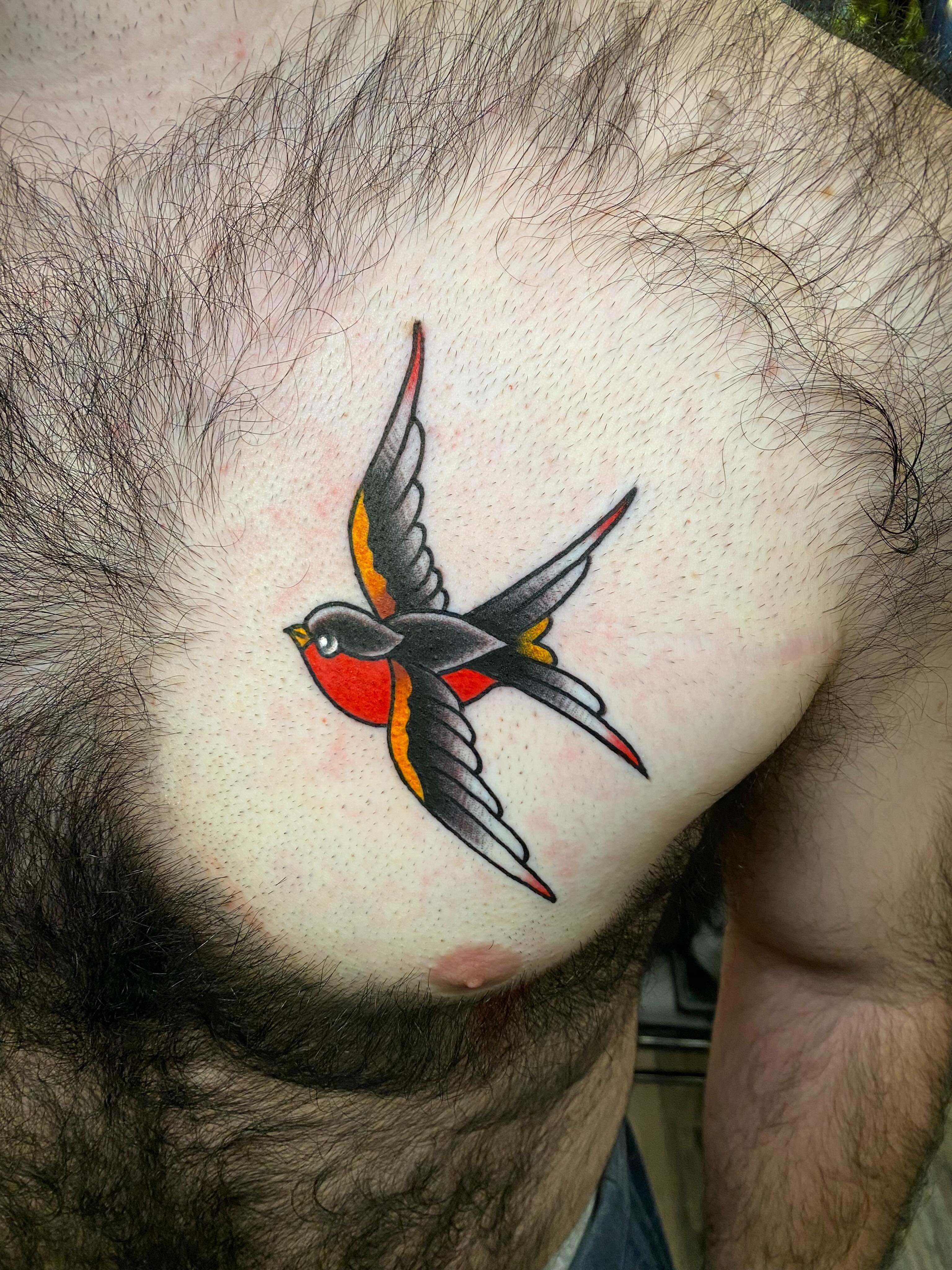 Swallow American traditional tattoo on the chest by Brandon Heredia, Vacaville, California