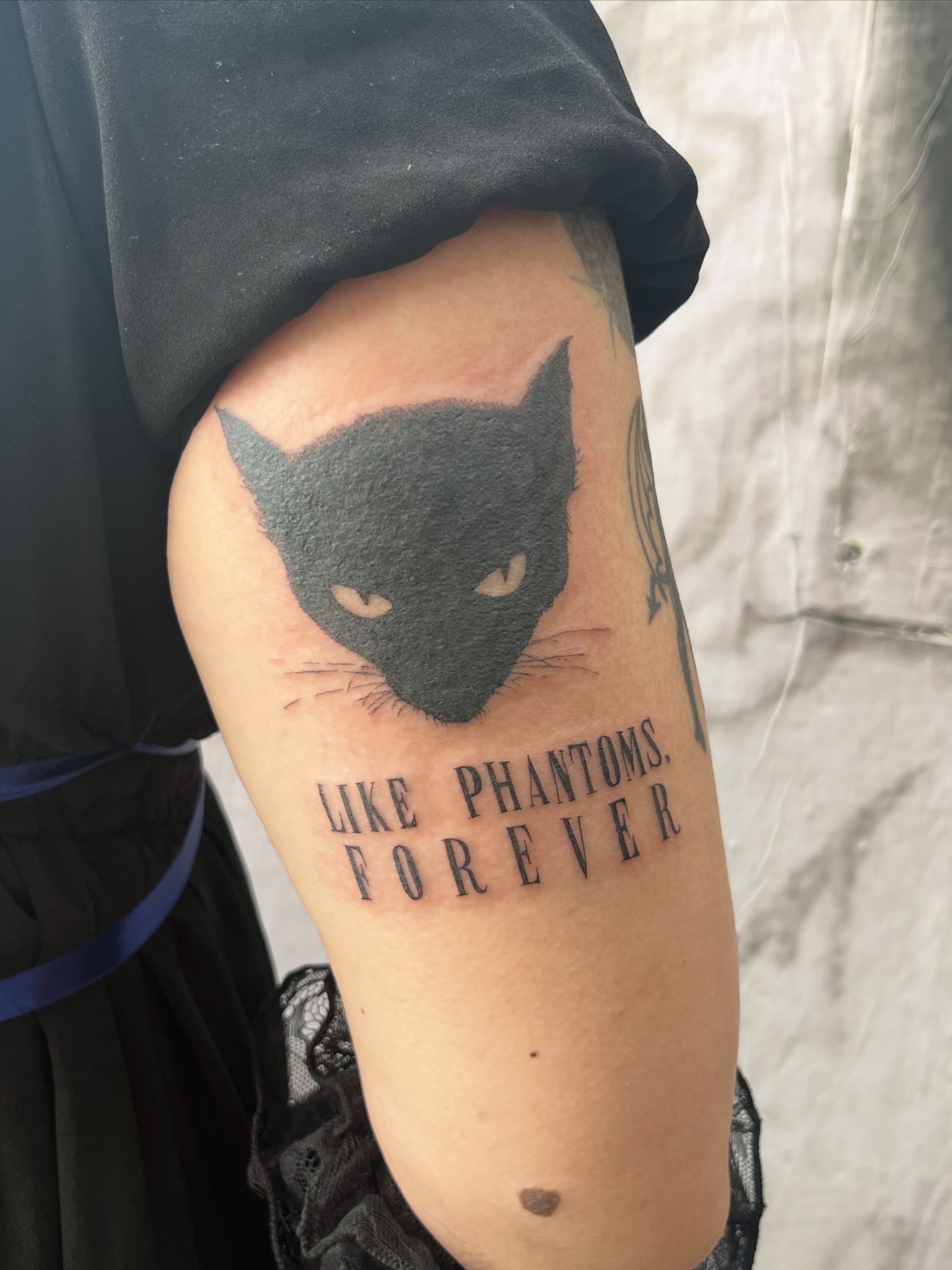 Cat black and grey tattoo on the forearm by Kyra Monterrosa