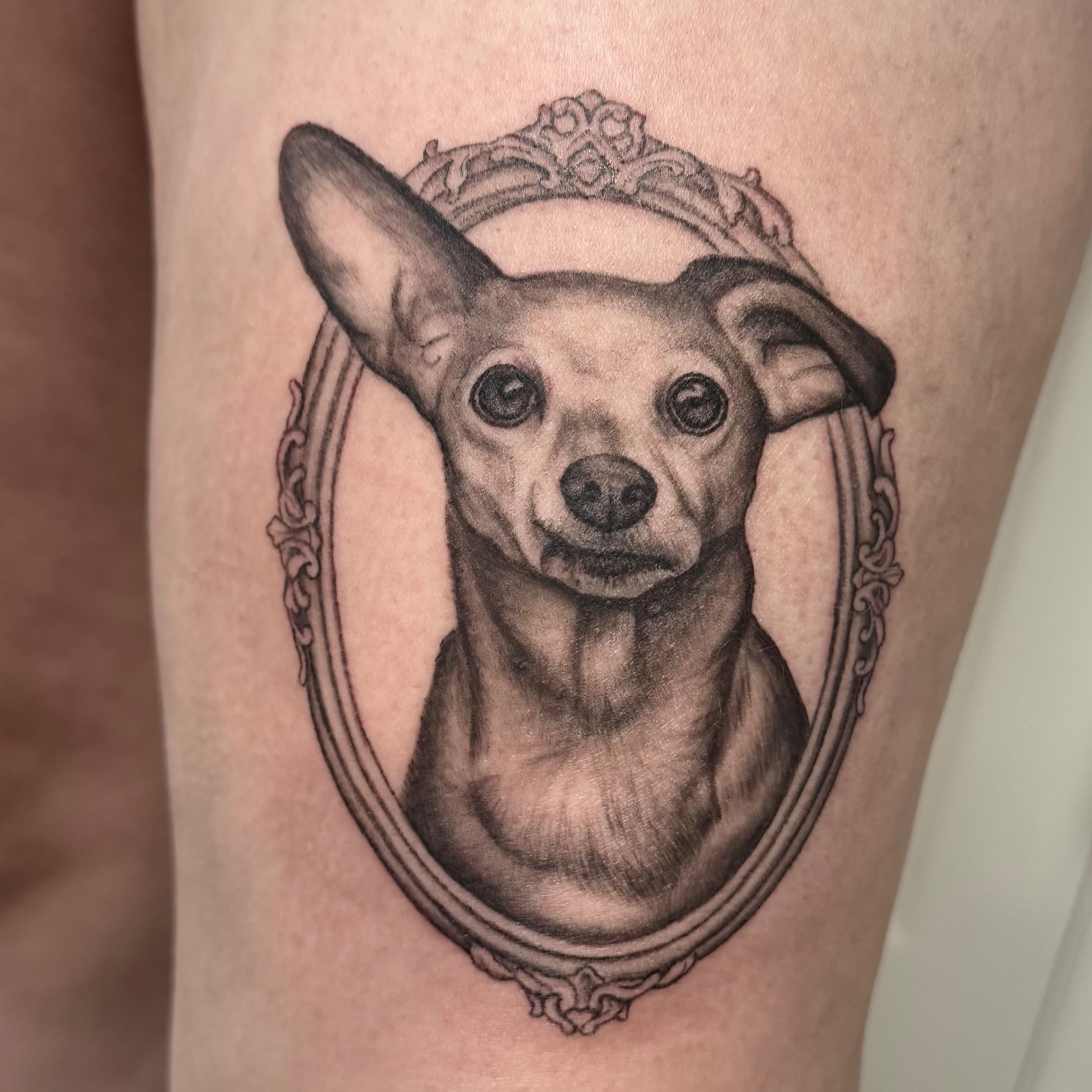 Dog portrait realism tattoo on the thigh by @tatts_by_kat