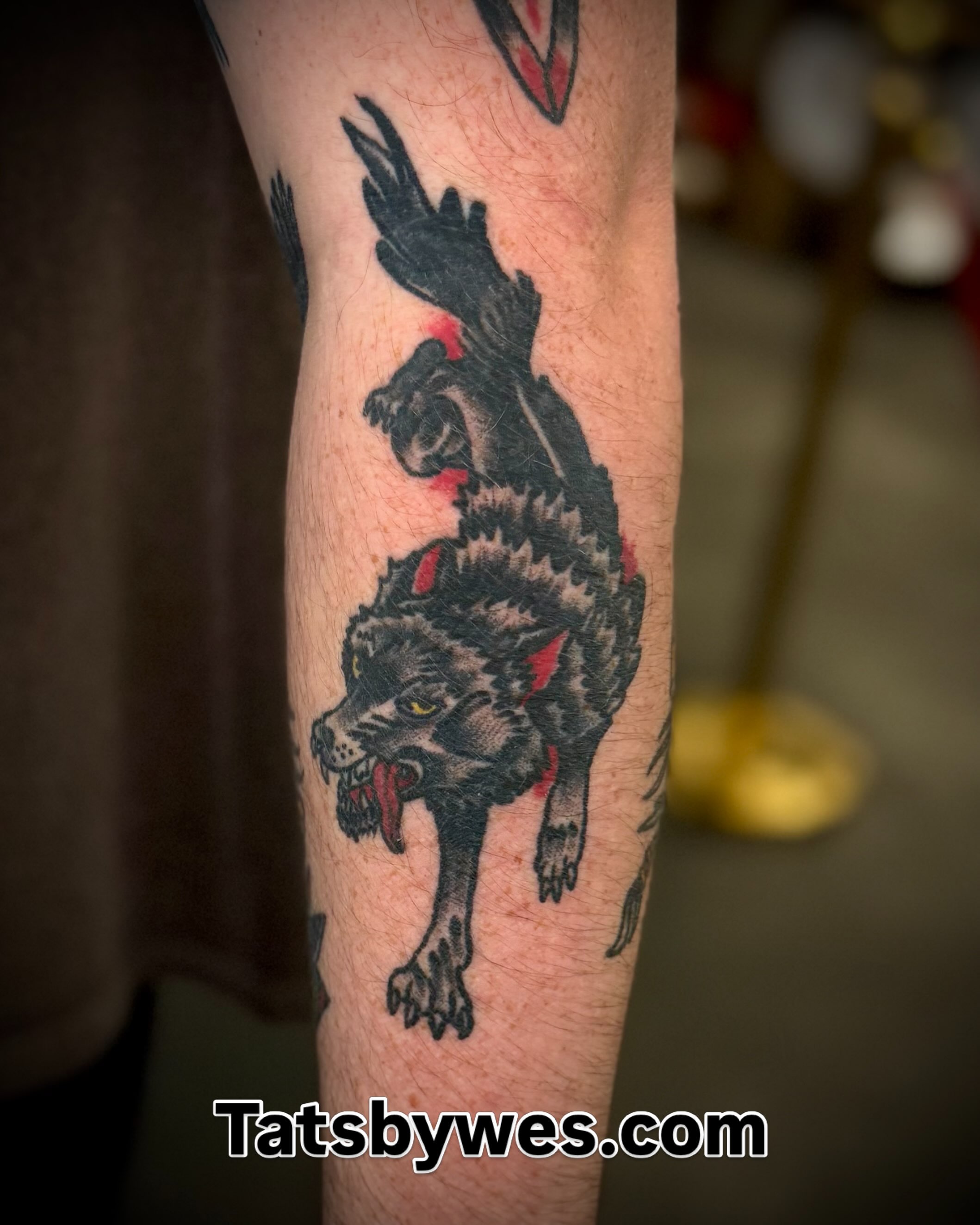 Wolf American traditional tattoo on the forearm by 𝐖𝐄𝐒