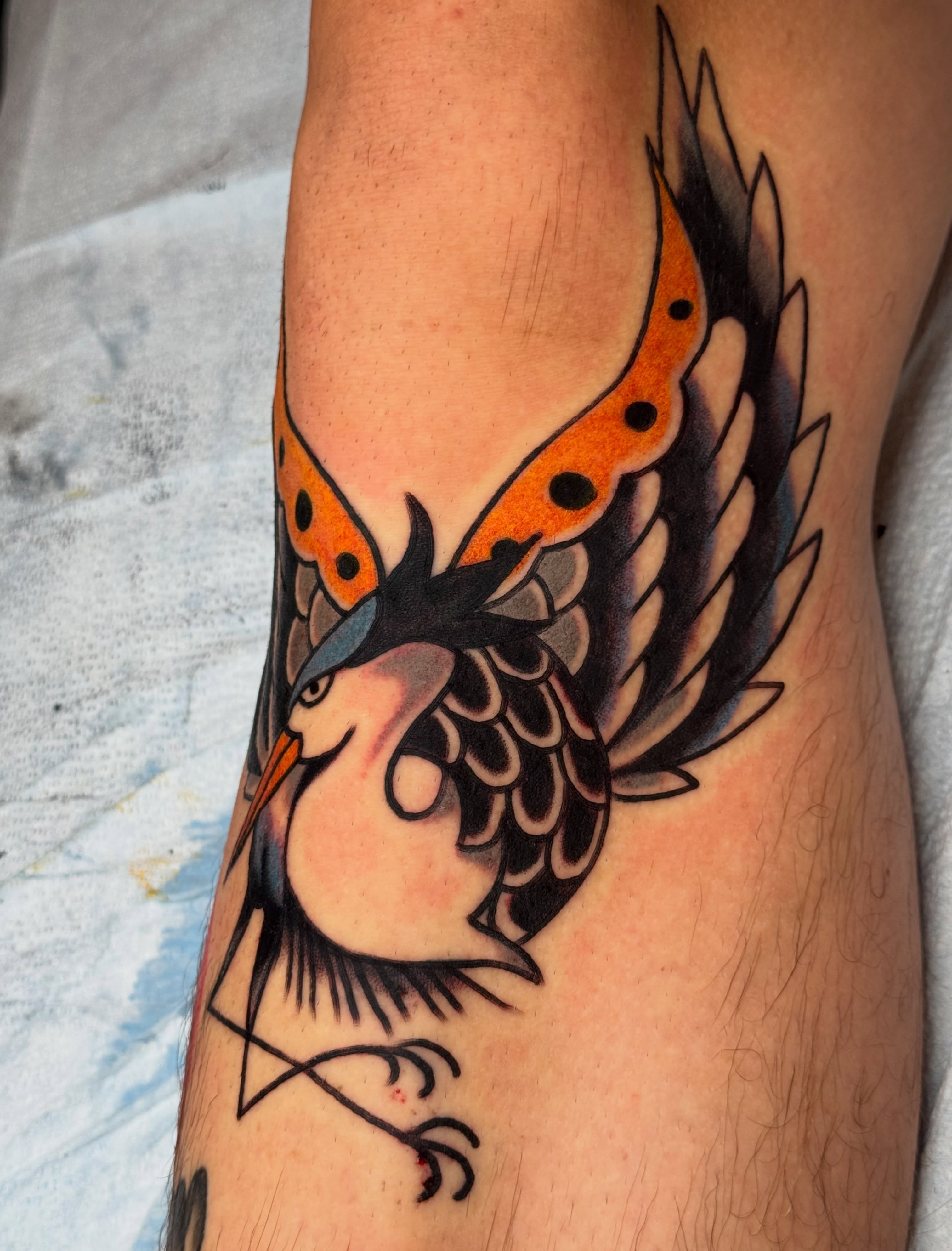 Bird neo-traditional tattoo on the forearm by JoJo Benton