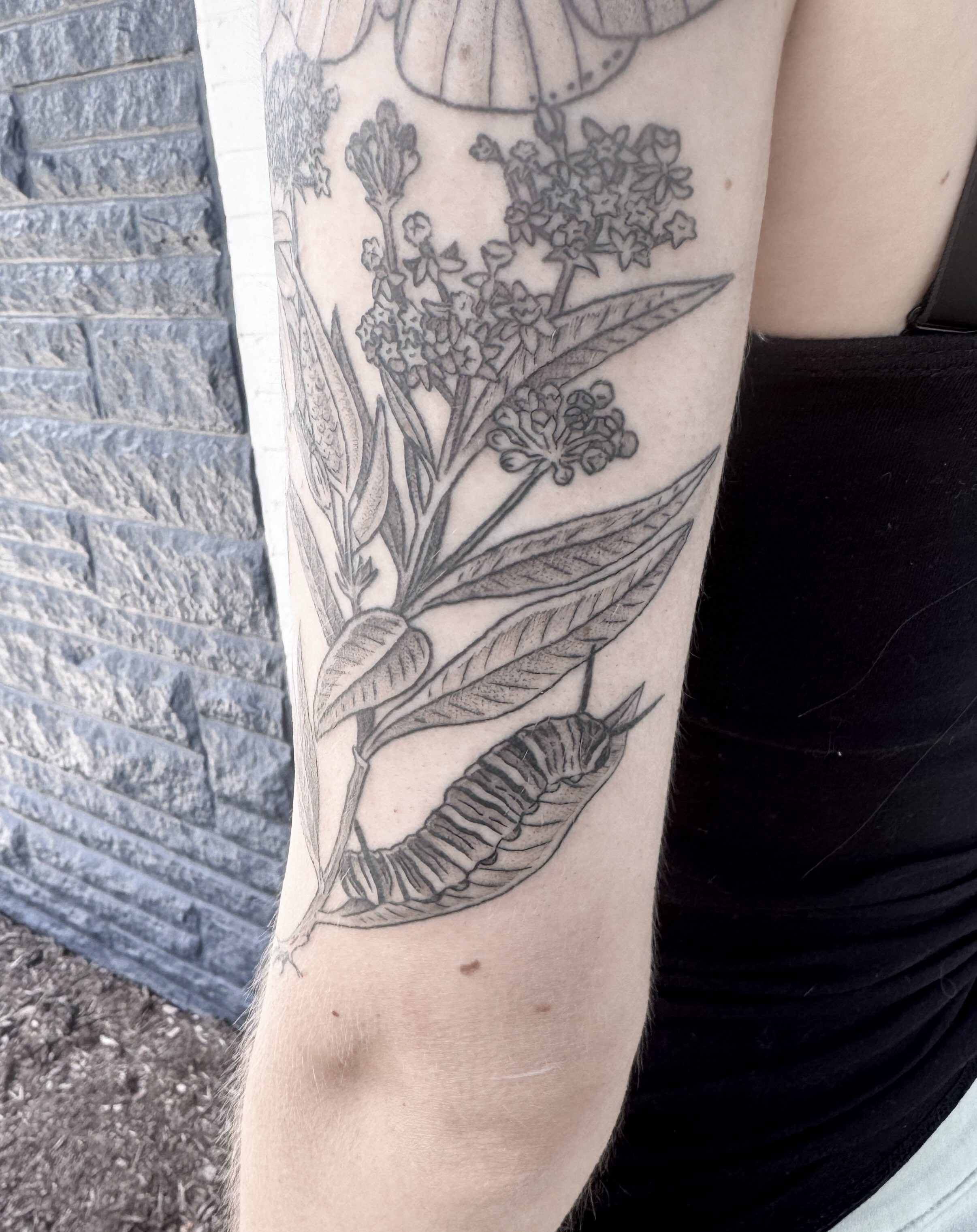 Botanical realism tattoo on the forearm by Audrey Kacel, Holland, Michigan