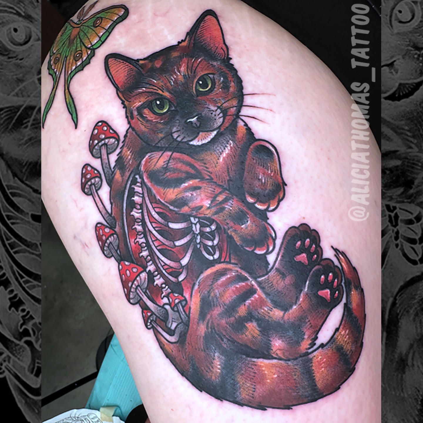 Cat skeleton realism tattoo on the thigh by 𝖆𝖑𝖎𝖈𝖎𝖆 𝖙𝖍𝖔𝖒𝖆𝖘