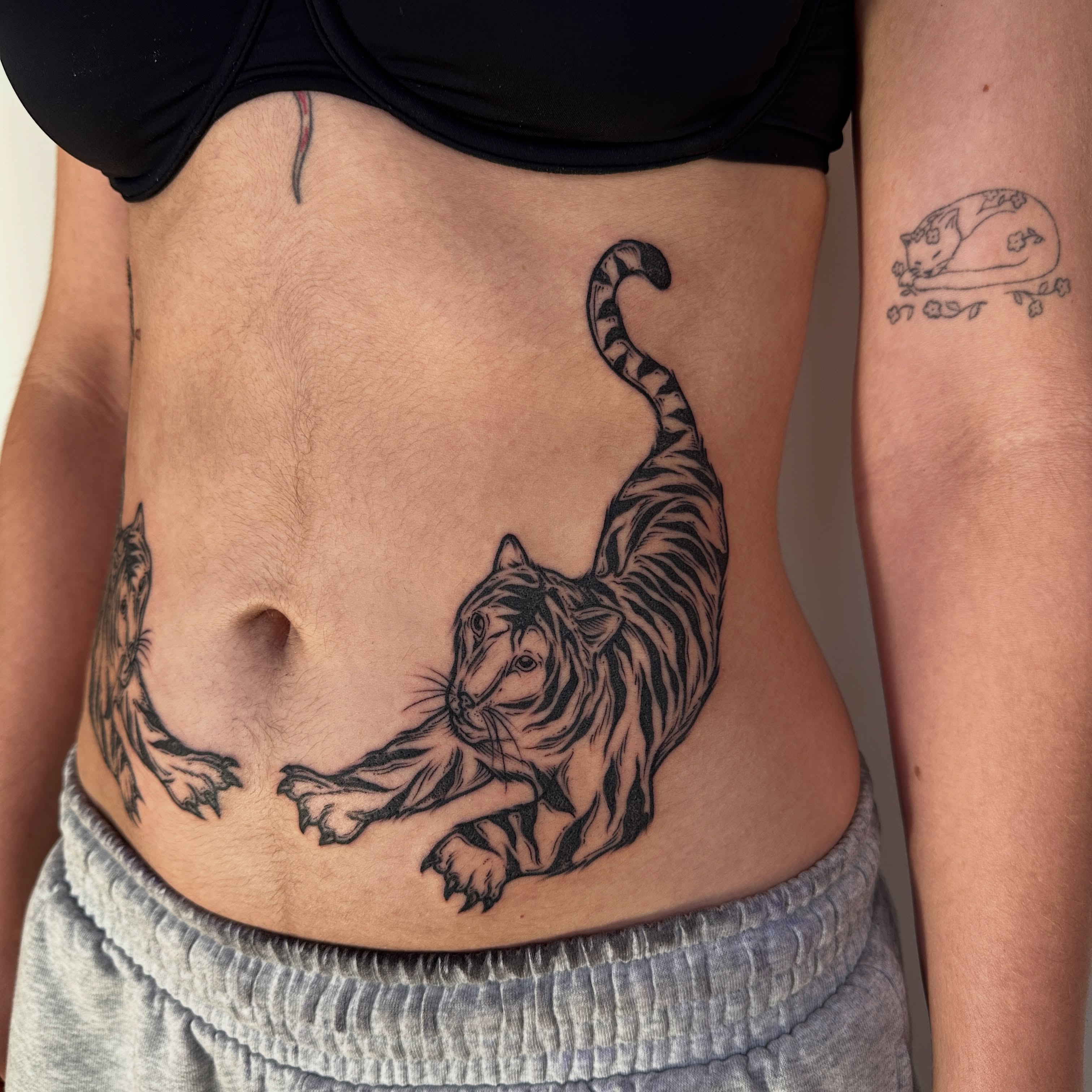 Tiger black and grey tattoo on the torso by rosalie