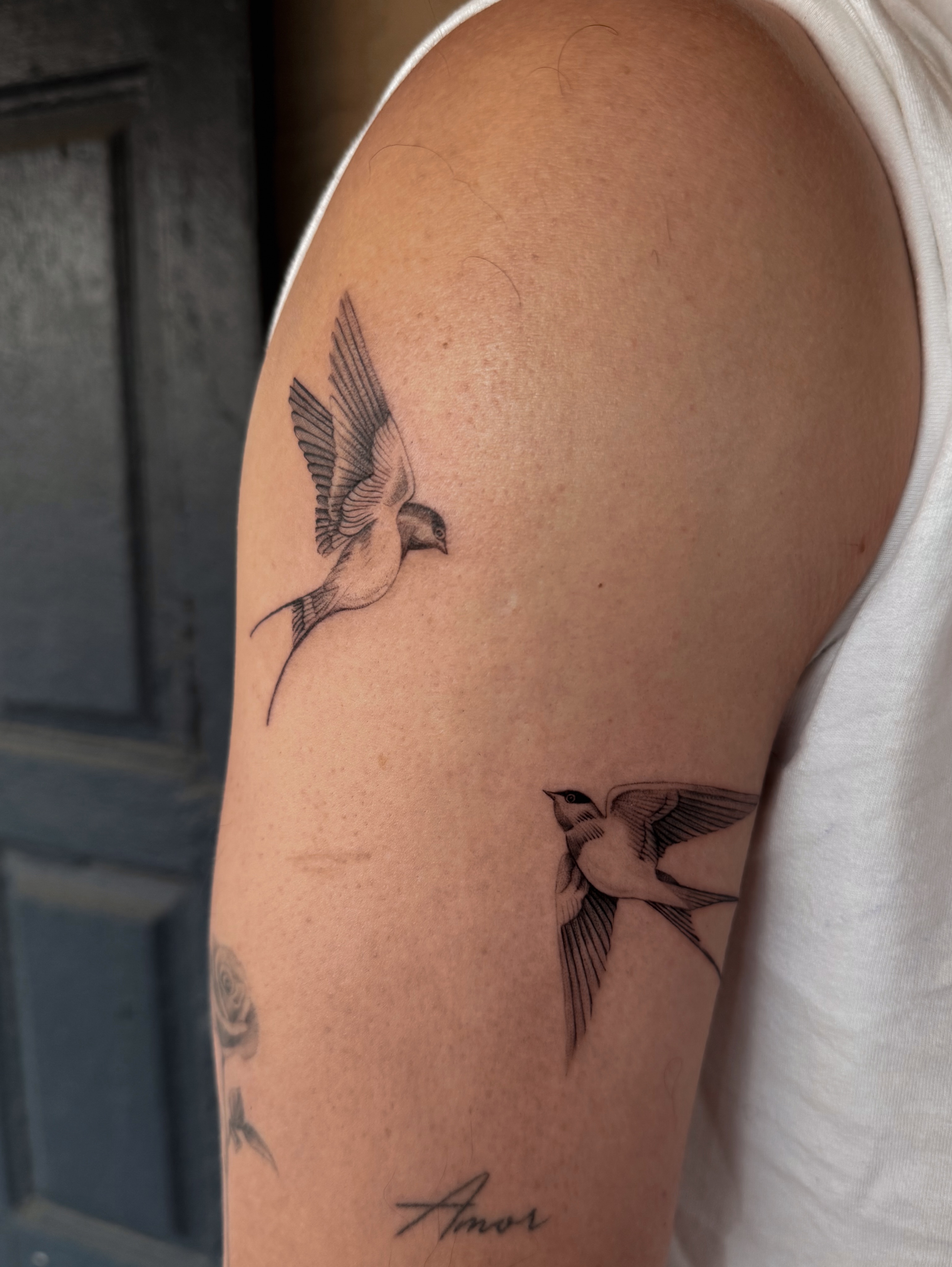 Swallows black and grey tattoo on the upper arm by Floral