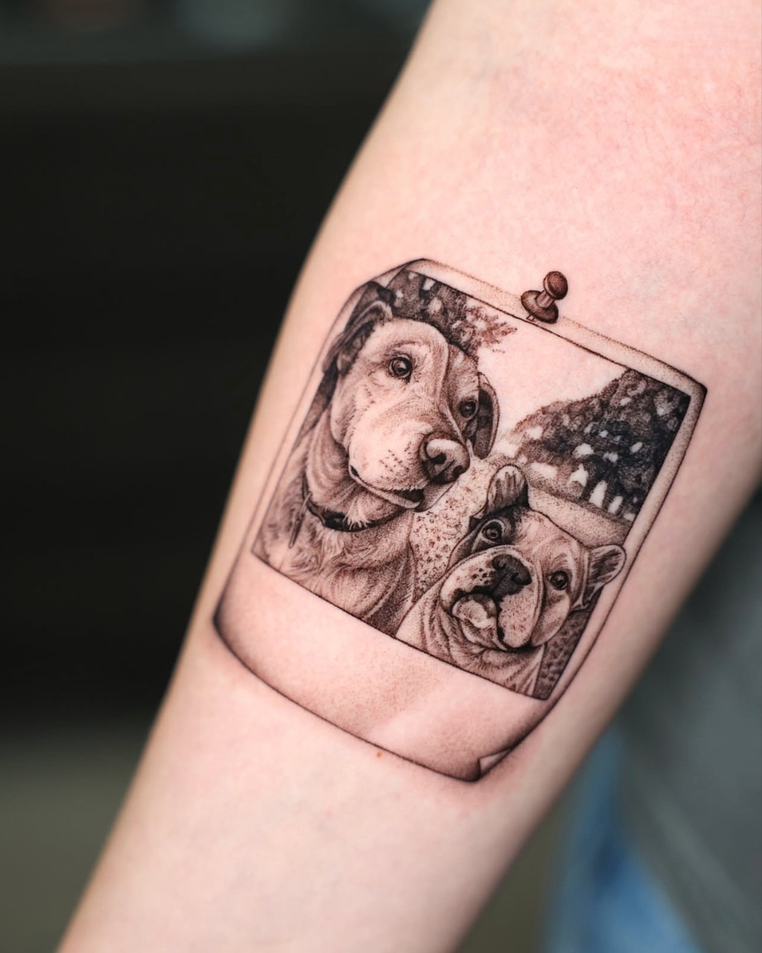 Tattoo by @fckthetinytattooer — realism