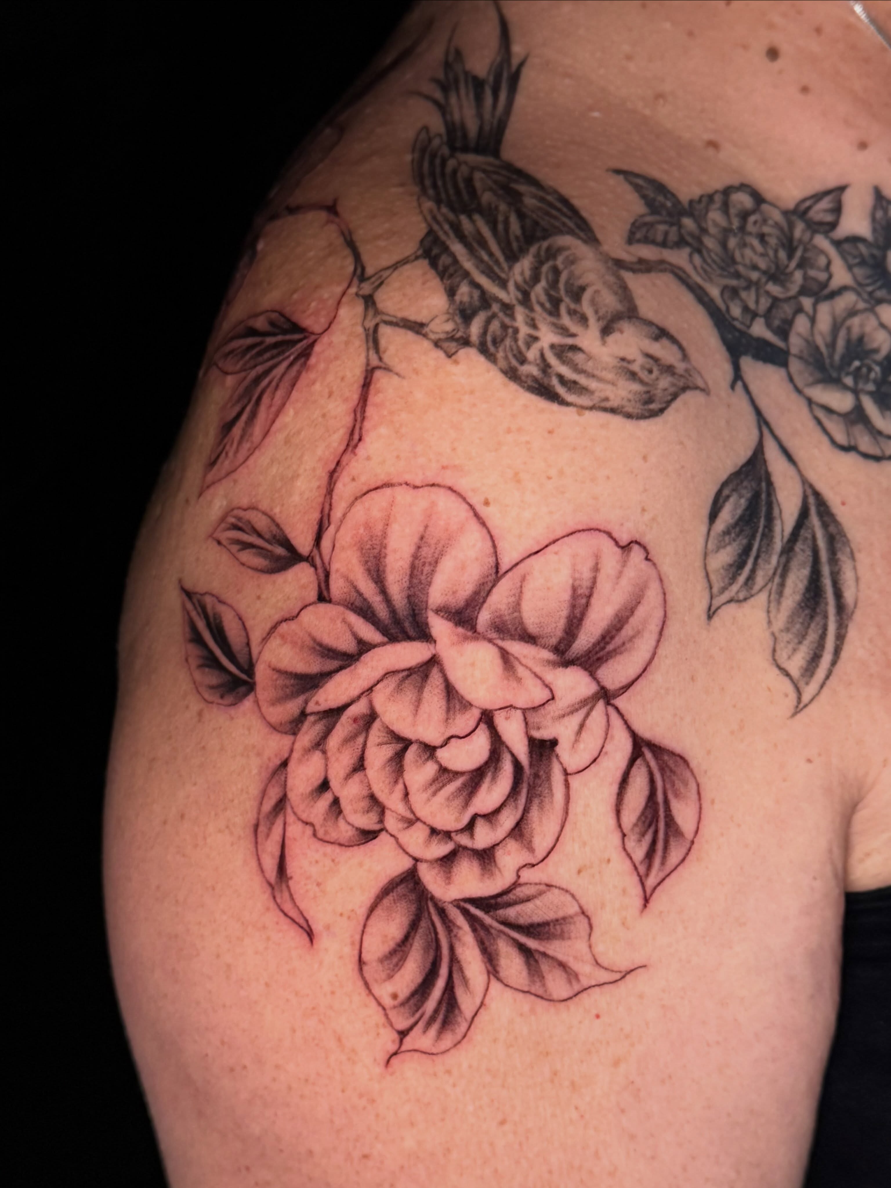 Tattoo by @immaculata_tattoo — black_and_grey, realism