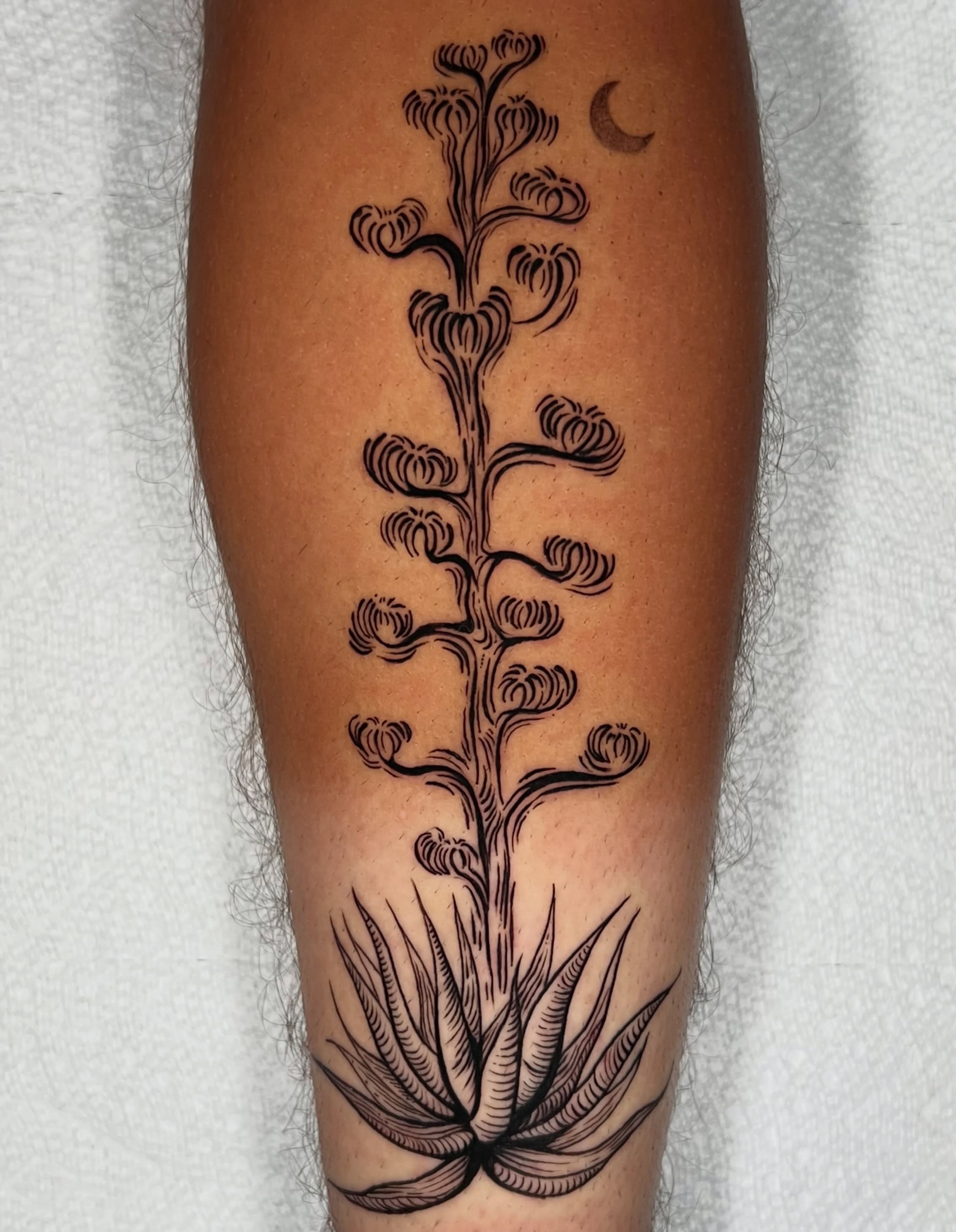 Succulent plant black and grey tattoo on the calf by ✧ :: paloma :: ✧