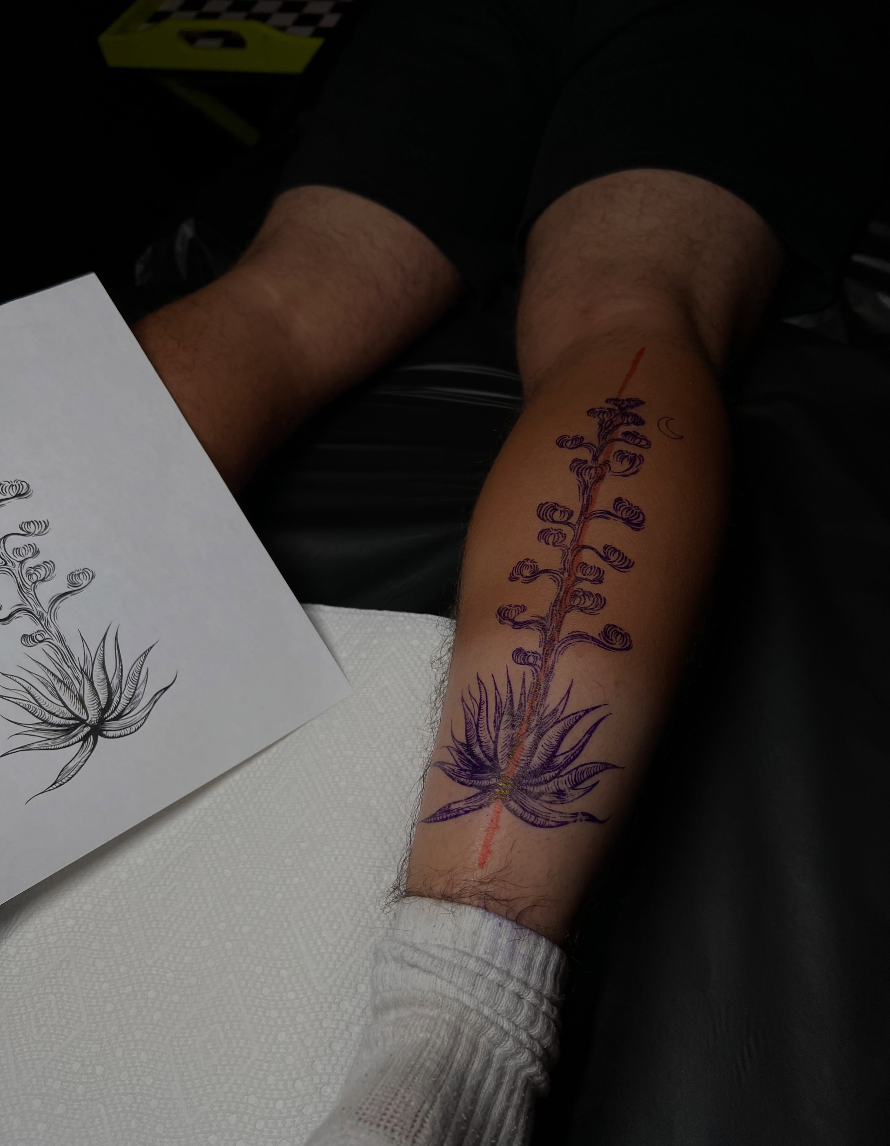 Succulent plant dotwork tattoo on the forearm by ✧ :: paloma :: ✧