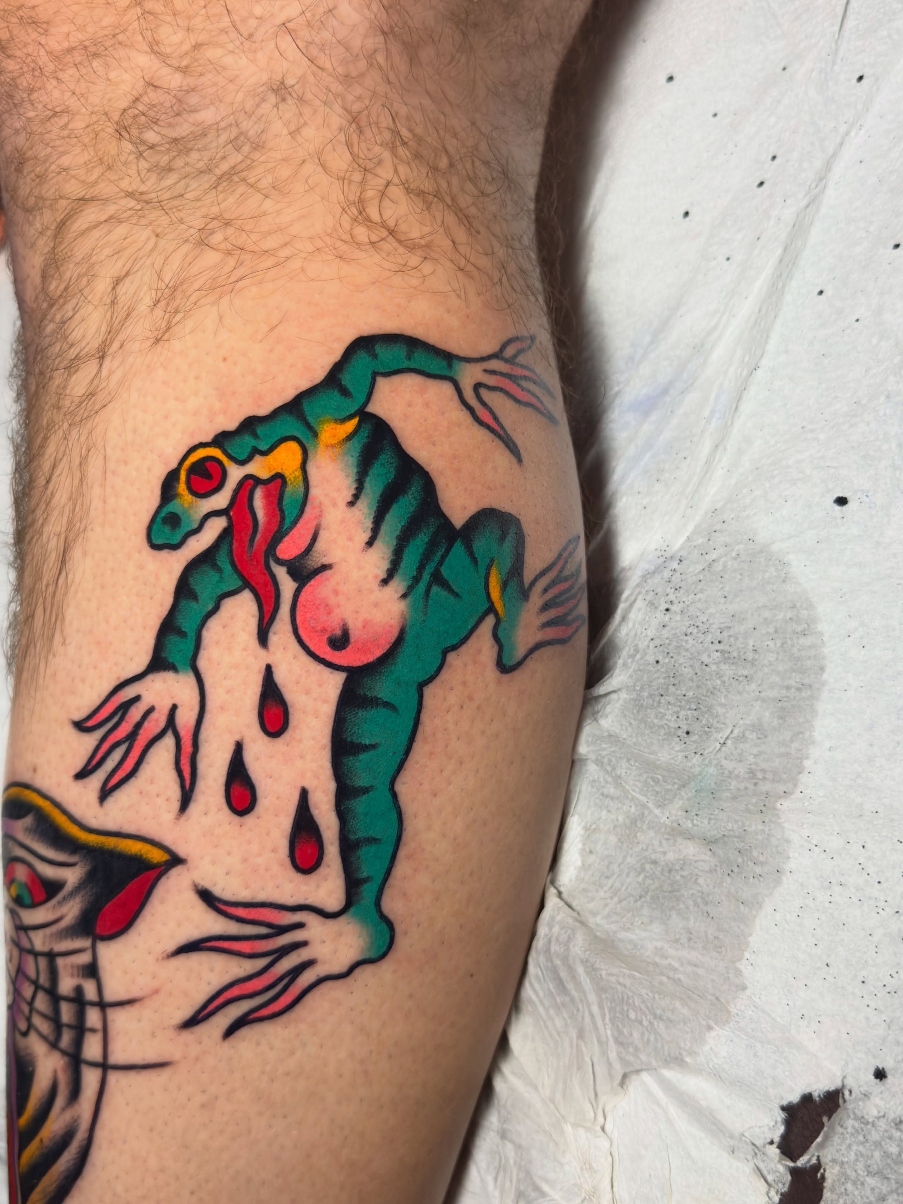 Frog American traditional tattoo on the forearm by 𝐬𝐚𝐬𝐡𝐚 𝐯𝐚𝐧𝐝𝐚𝐥, Nashville, Tennessee
