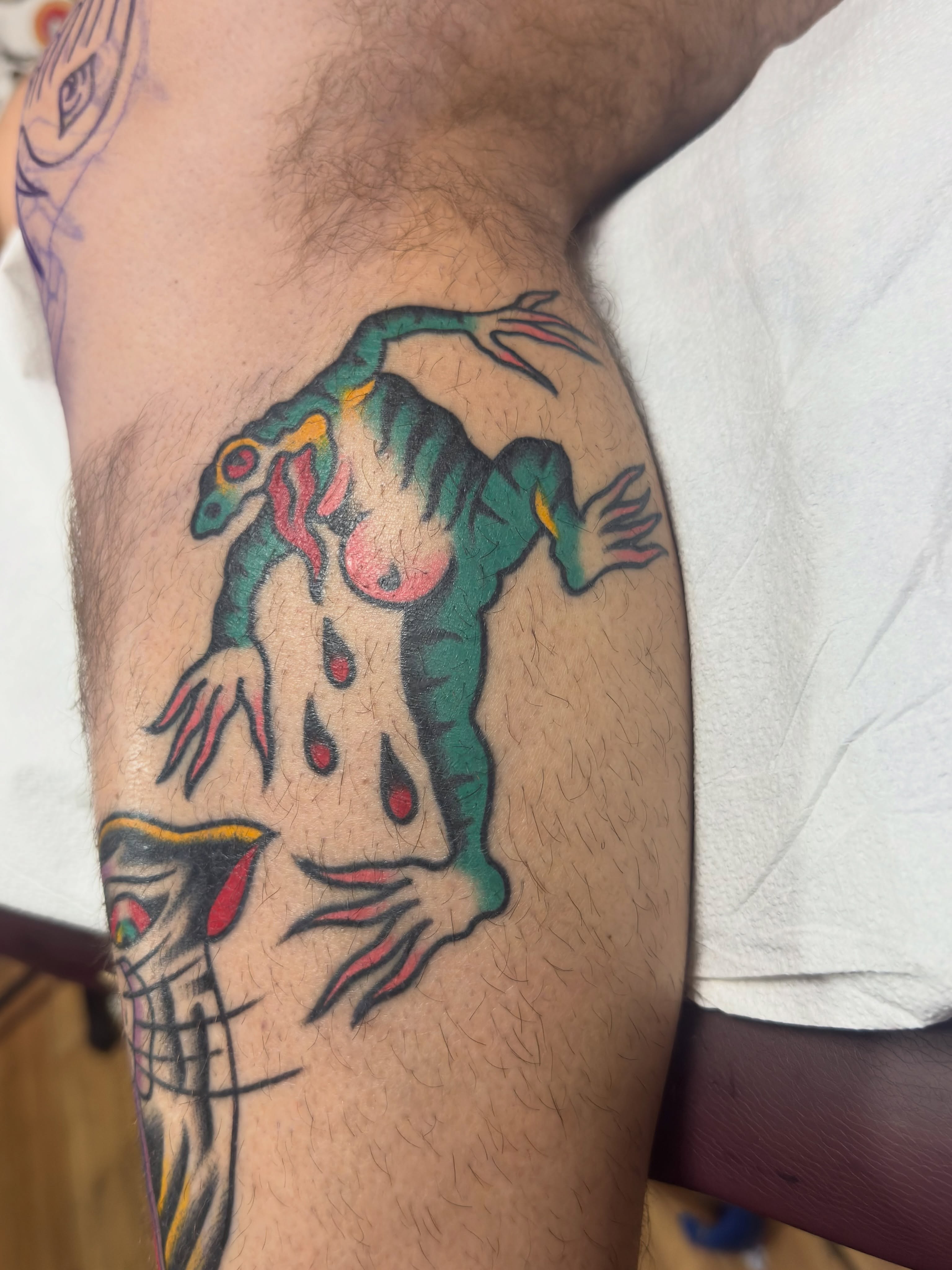 Lizard American traditional tattoo on the forearm by 𝐬𝐚𝐬𝐡𝐚 𝐯𝐚𝐧𝐝𝐚𝐥, Nashville, Tennessee