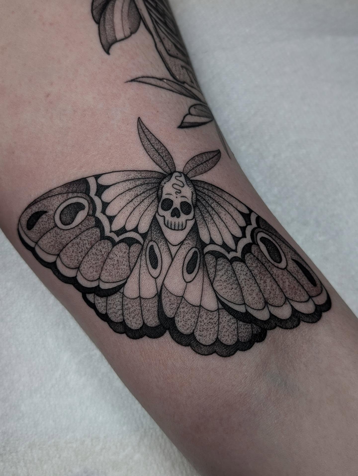Tattoo by @kattiebaby — dotwork, black_and_grey