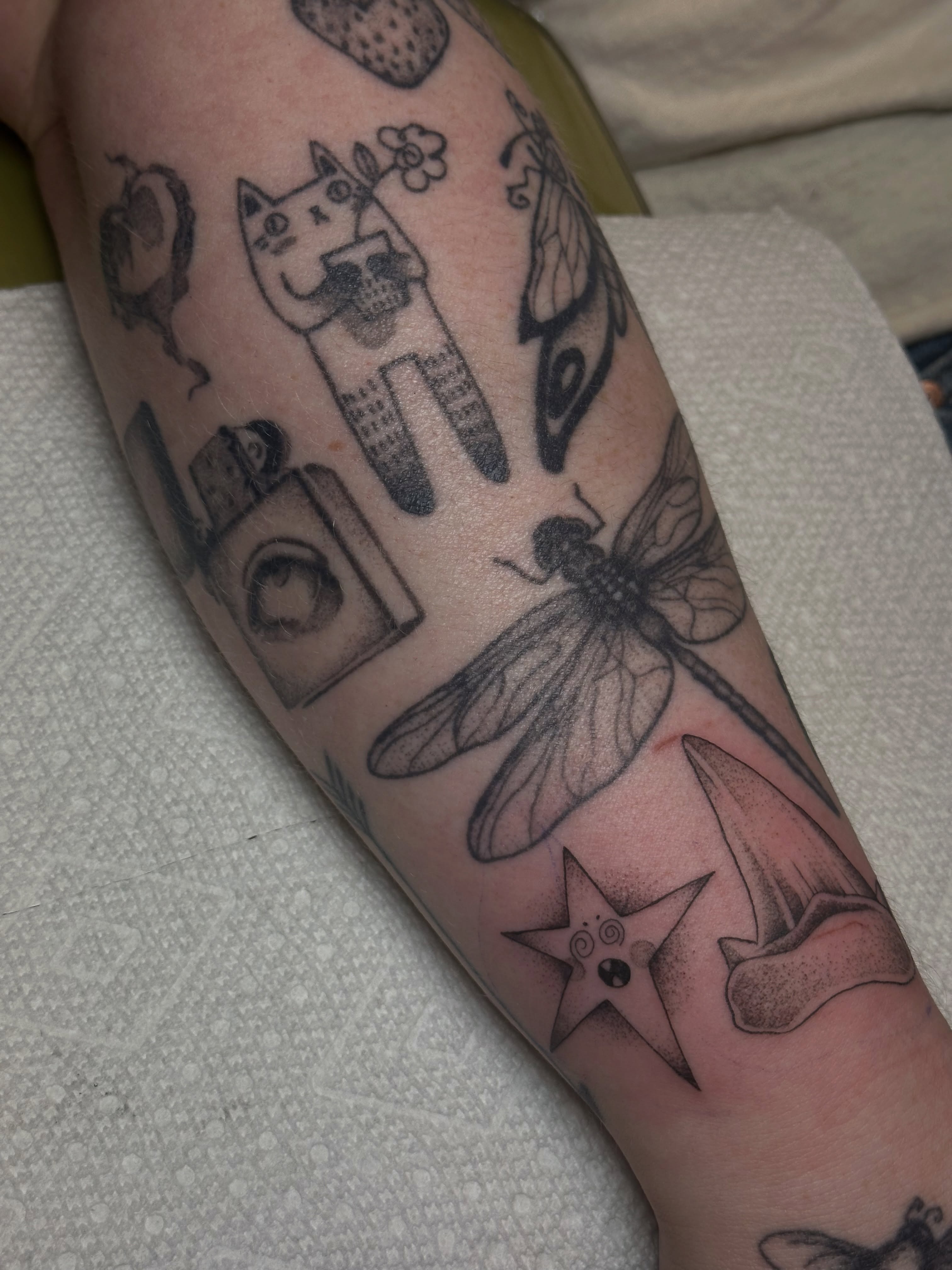 Dragonfly and cat dotwork tattoo on the forearm by kennedy :) π±πΏ