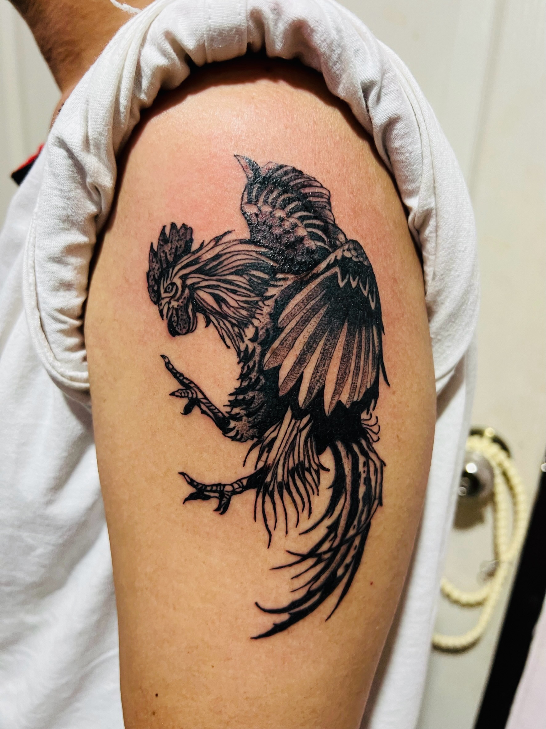 Rooster black and grey tattoo on the shoulder by Ink Napawong