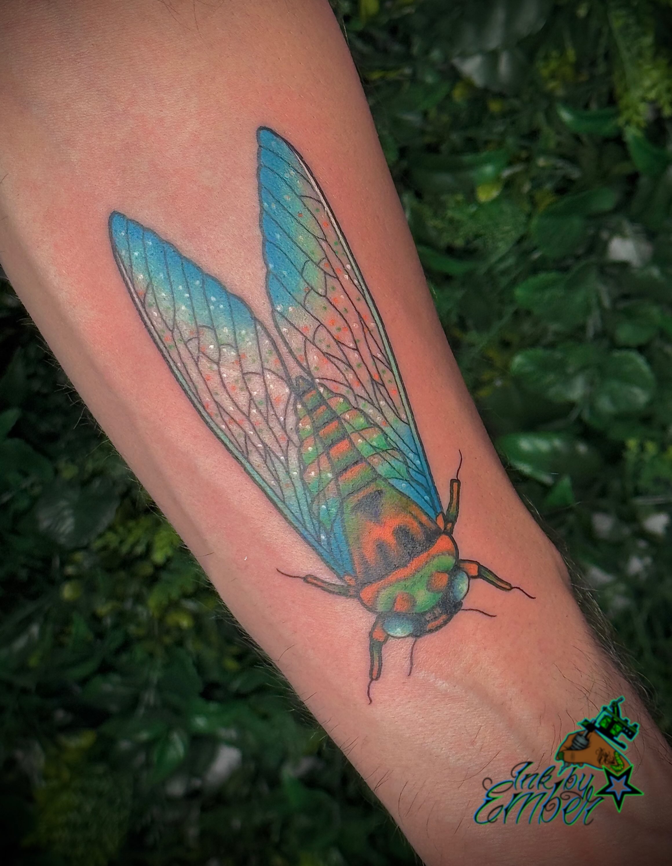 Cicada realism tattoo on the forearm by Ember